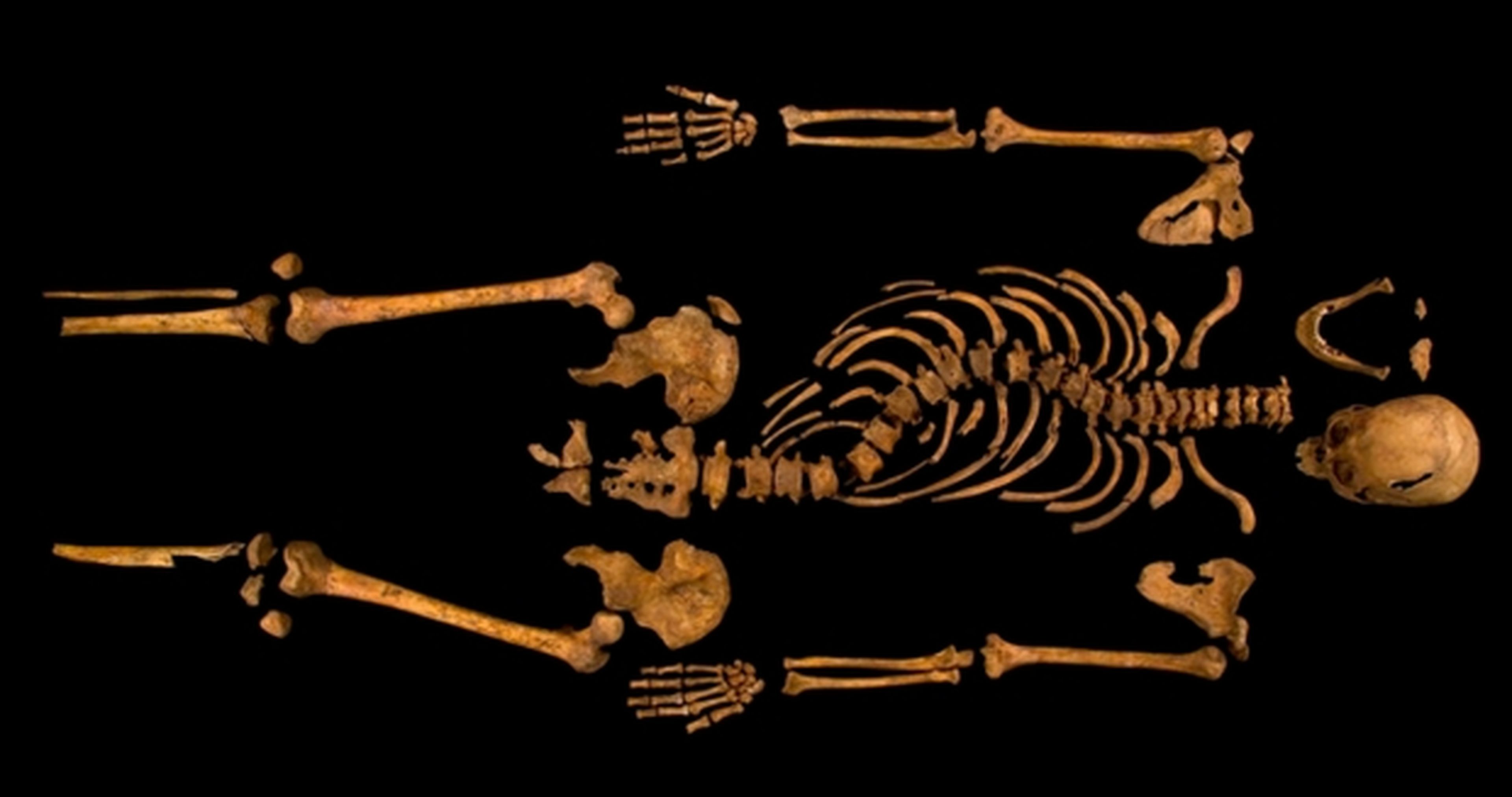 Explora la tumba del rey Ricardo III en 3D