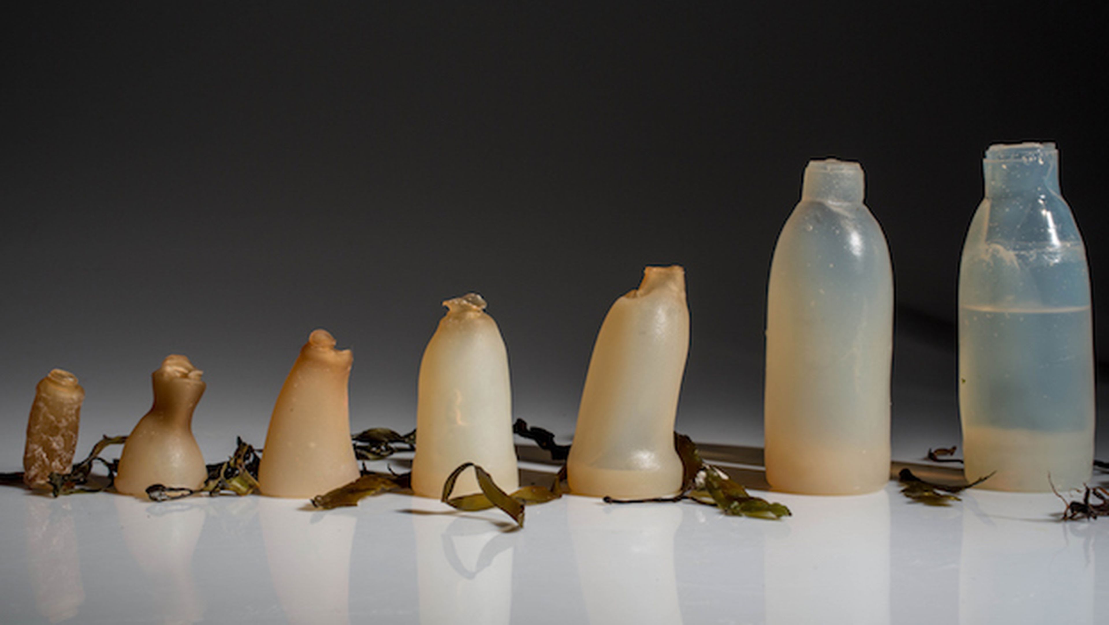 Botellas de agua biodegradables a base de alga