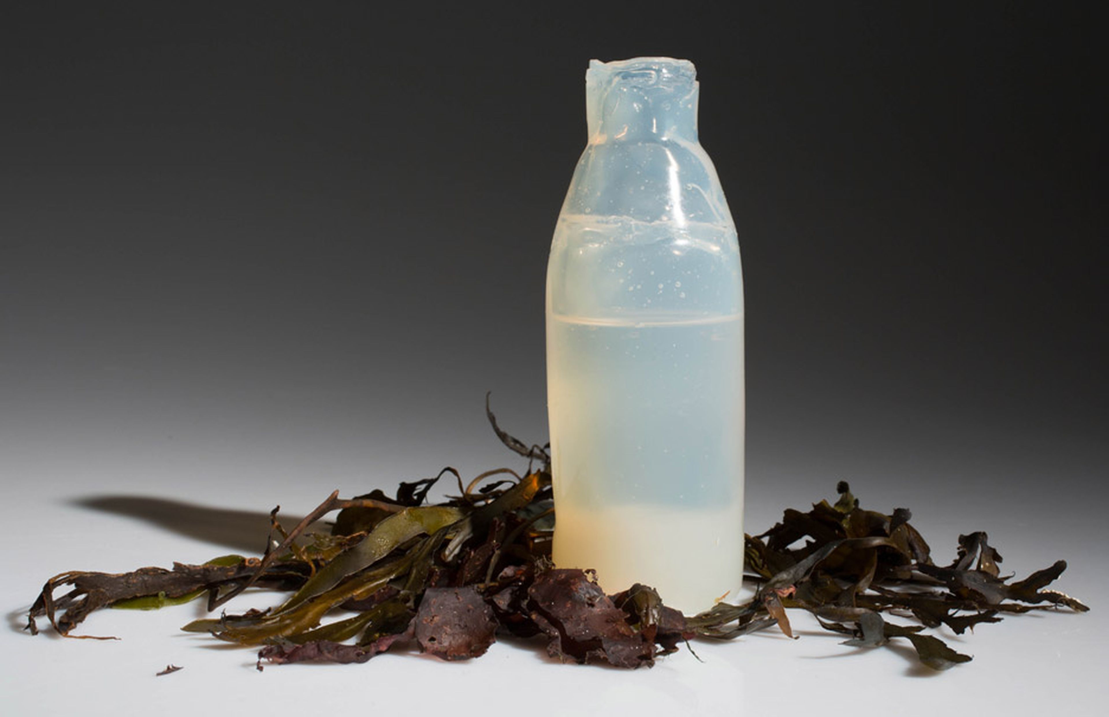 botellas biodegradables
