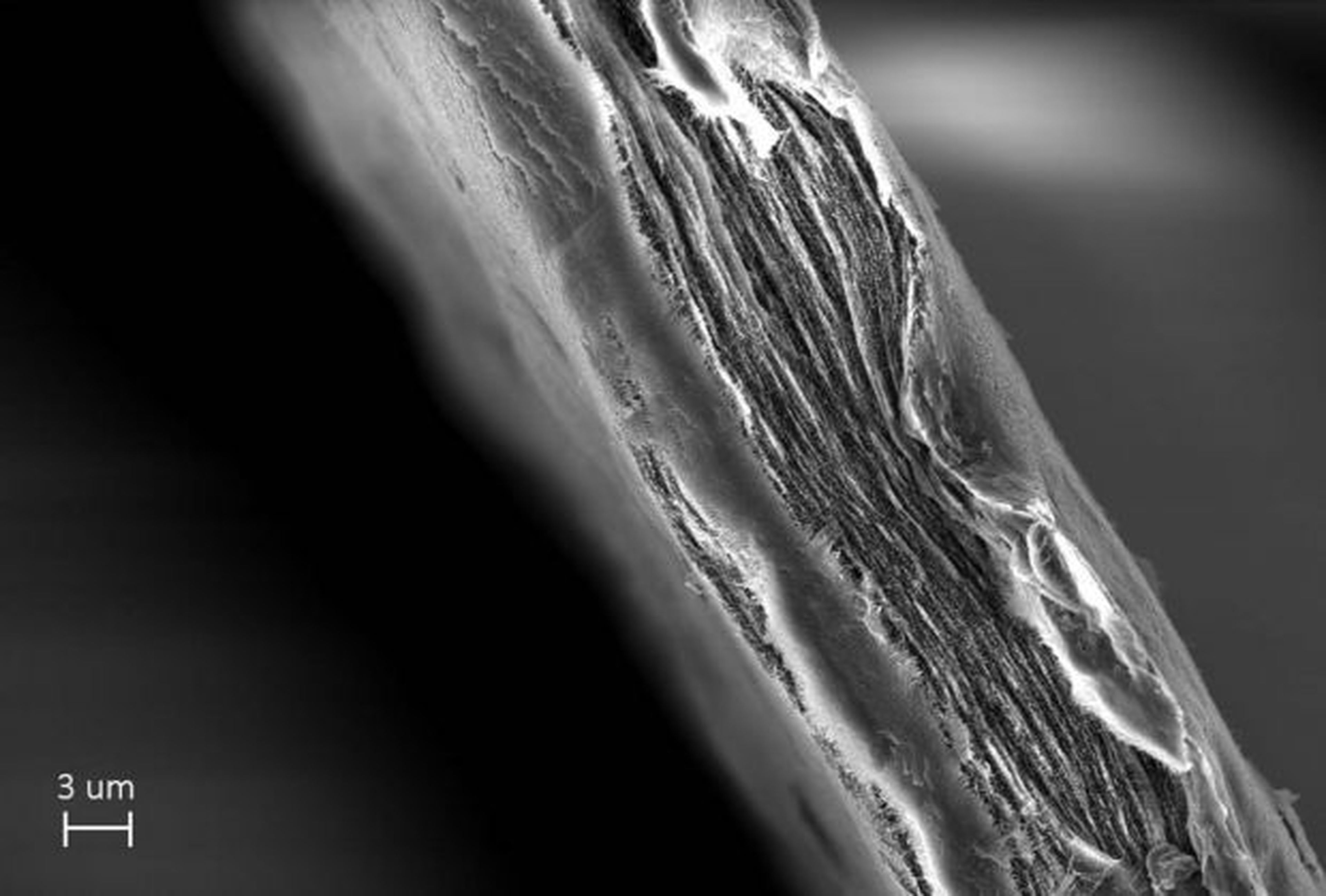 Filtro de nanofibras de celulosa