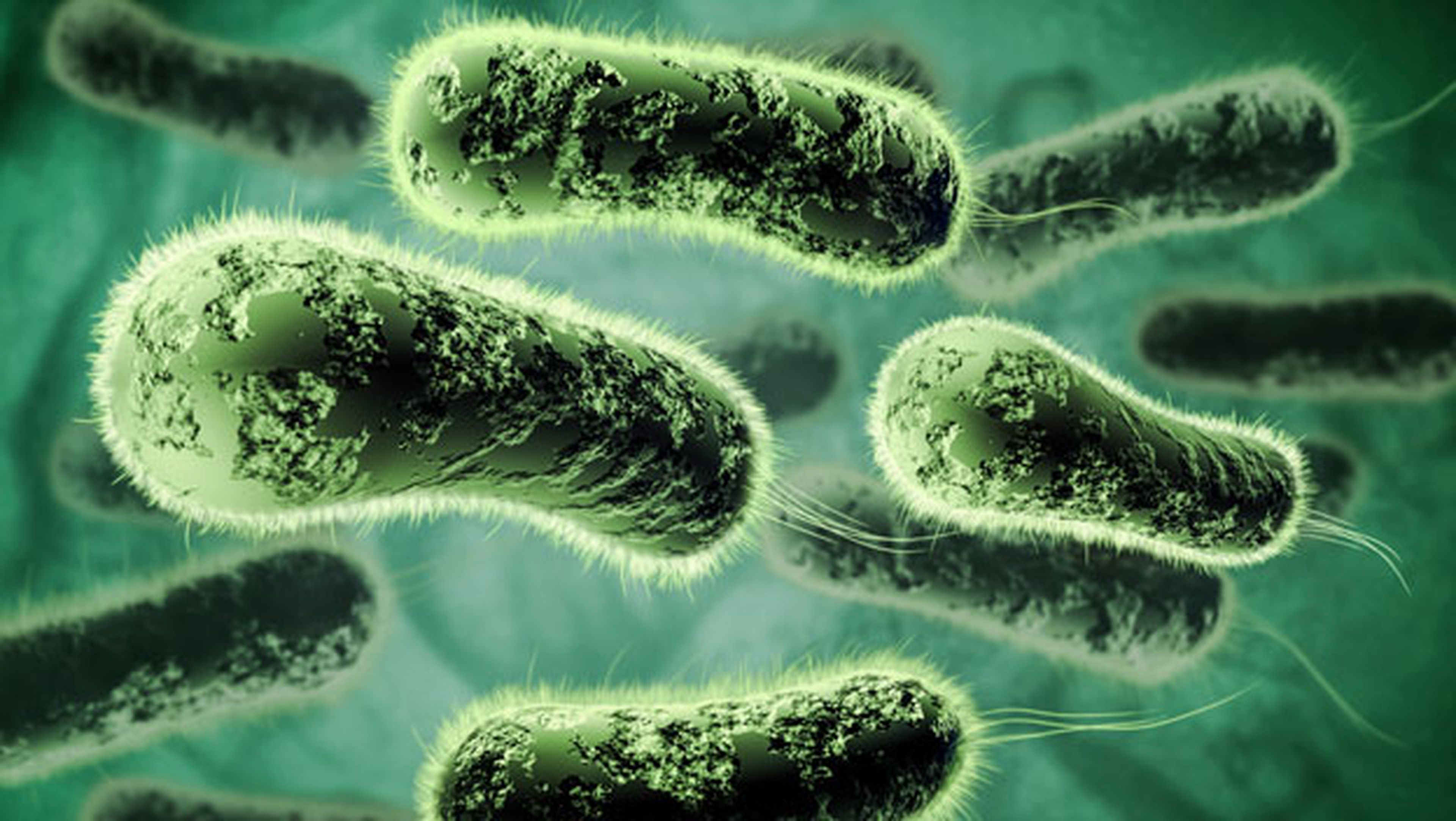 bacterias resistentes a los antibioticos