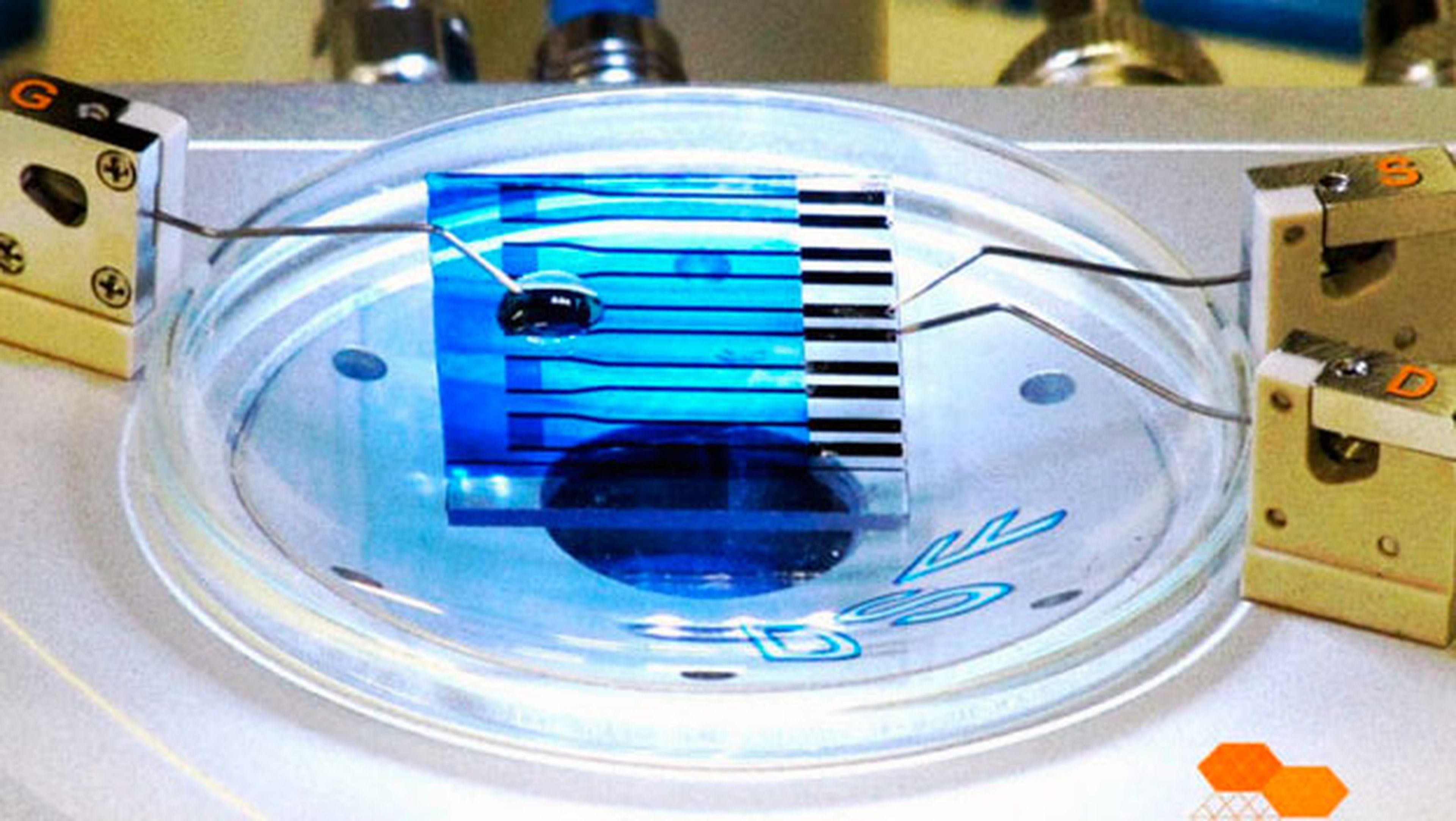 Este sensor puede diagnosticar cáncer, Alzheimer y Parkinson