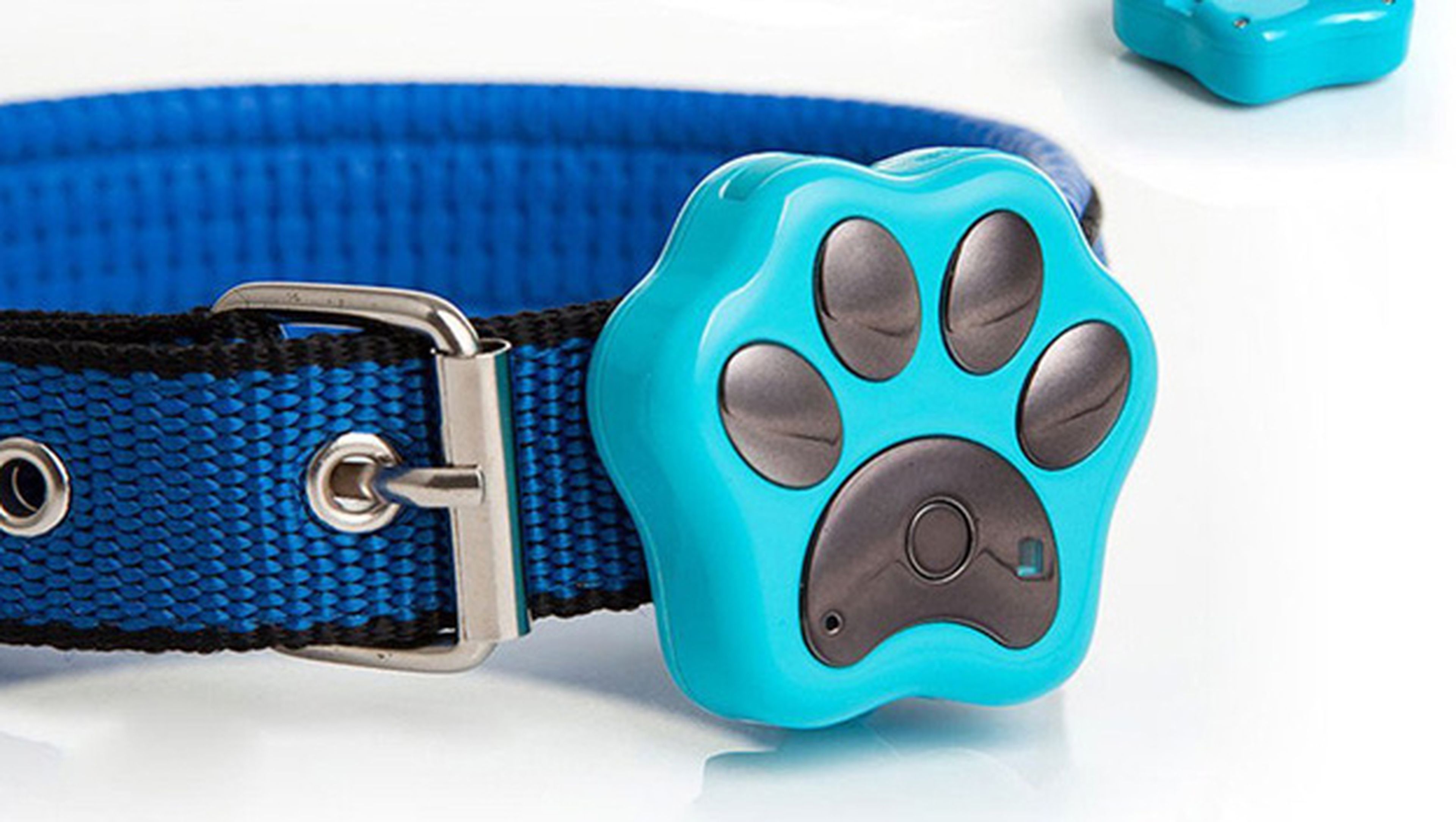 Los 5 mejores collares GPS para tu perro, gato y demás mascotas