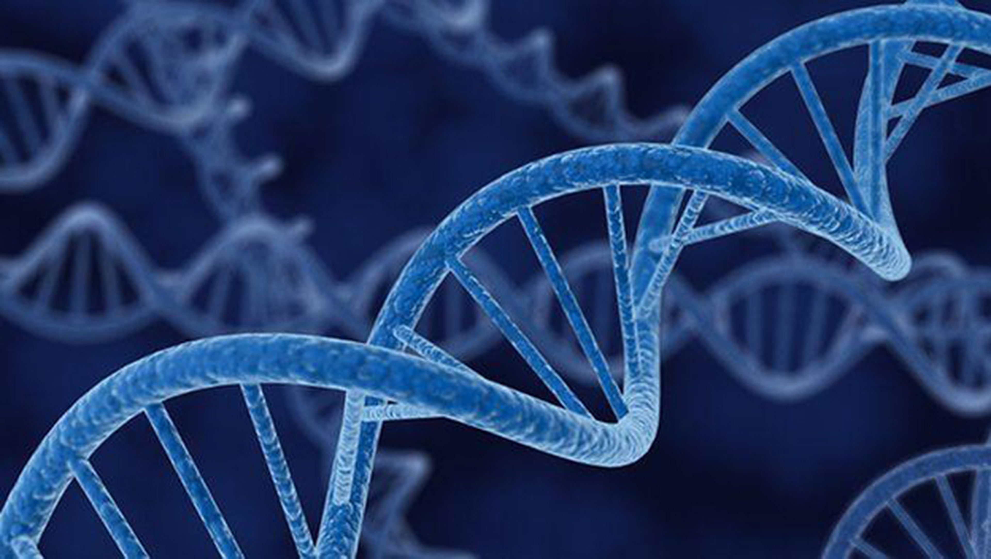 Un grupo de científicos creará genoma humano sintético