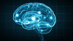 Implantes cerebrales nos permitirán controlar el ordenador