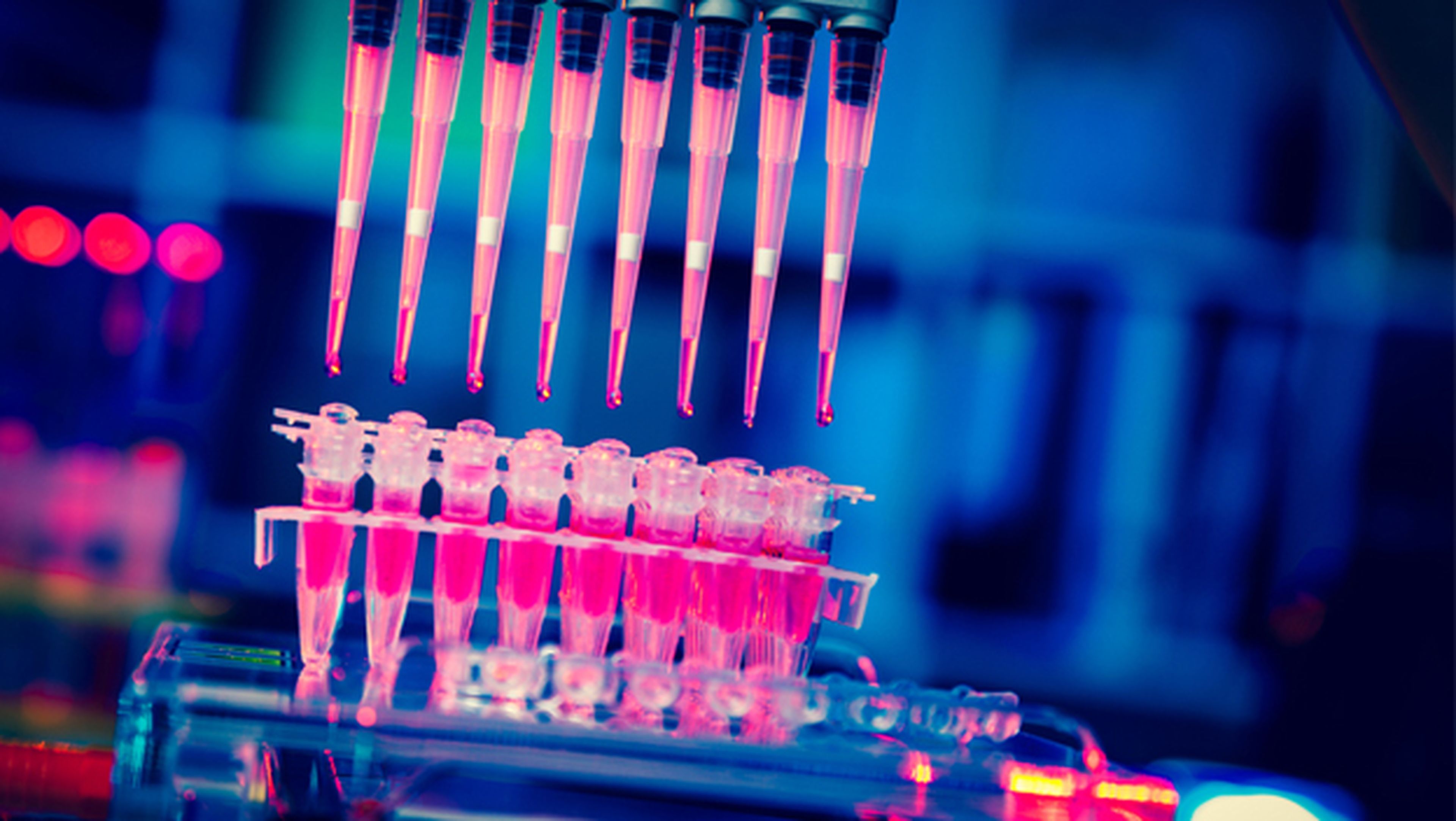 Las vacunas programables, un paso más contra el cáncer | Imagen: Shutterstock