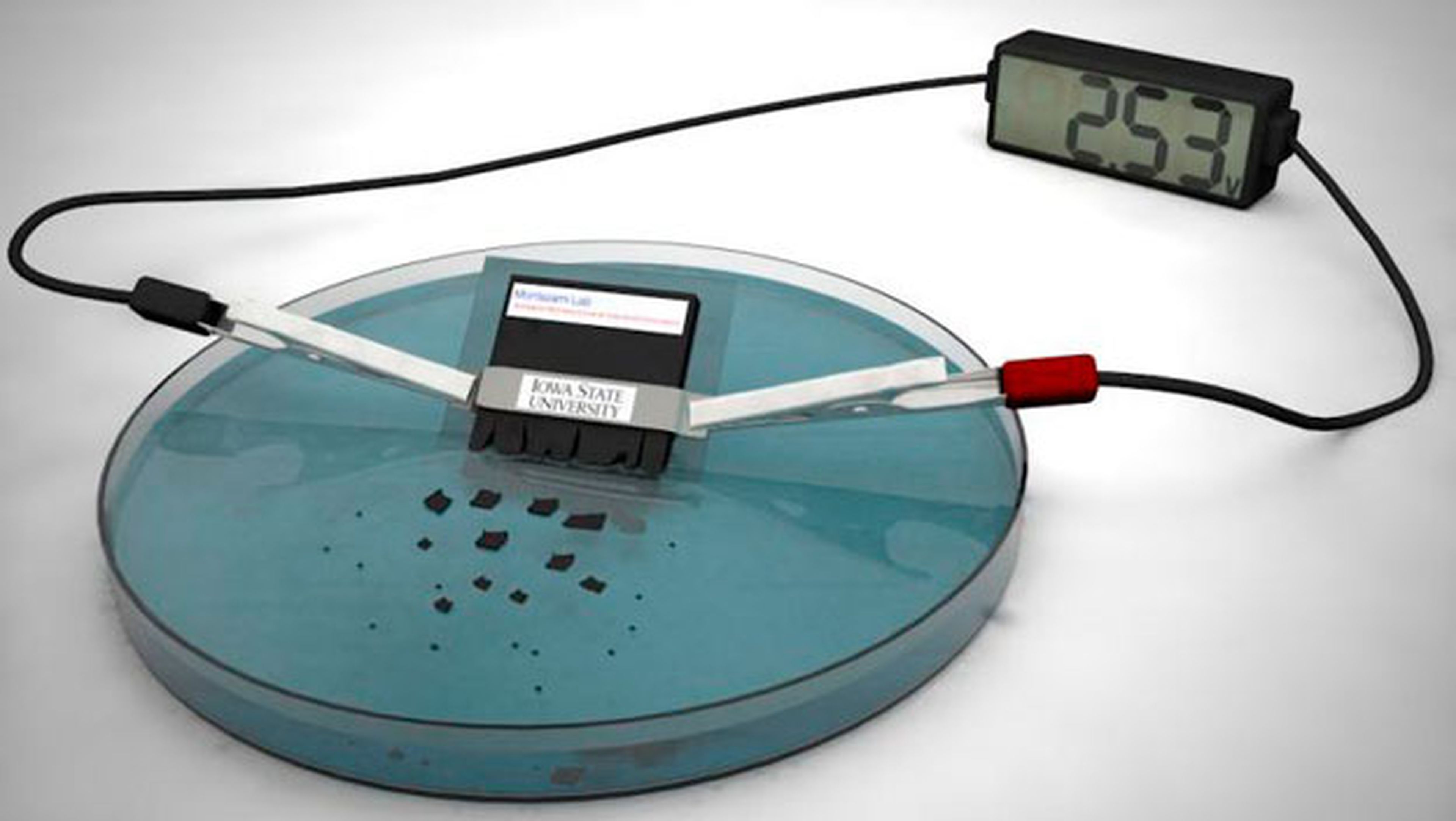 Descarte transmitir en casa Desarrollan una batería que se puede disolver en agua | Computer Hoy