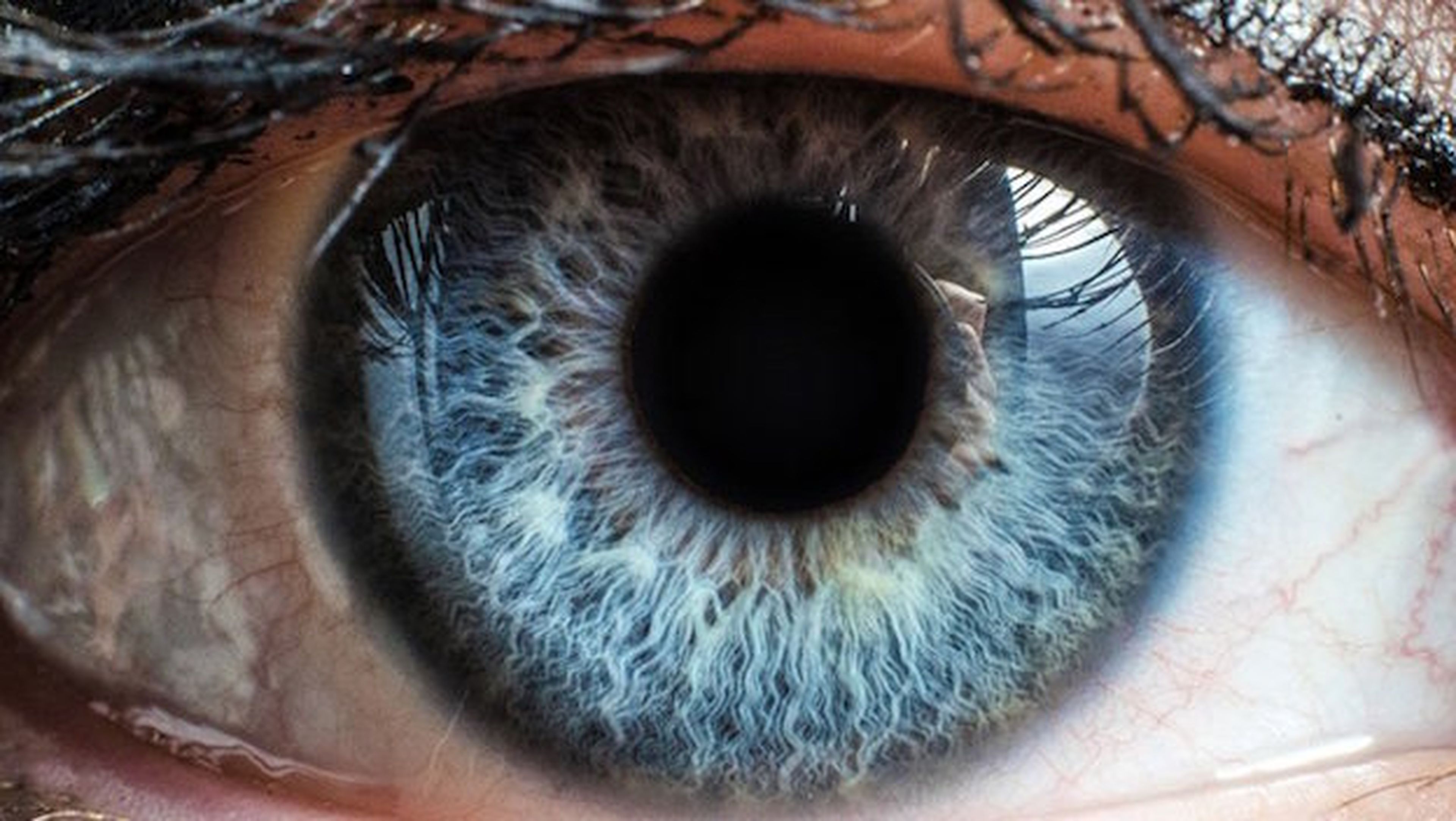 Córnea sintética devolvería la vista a personas
