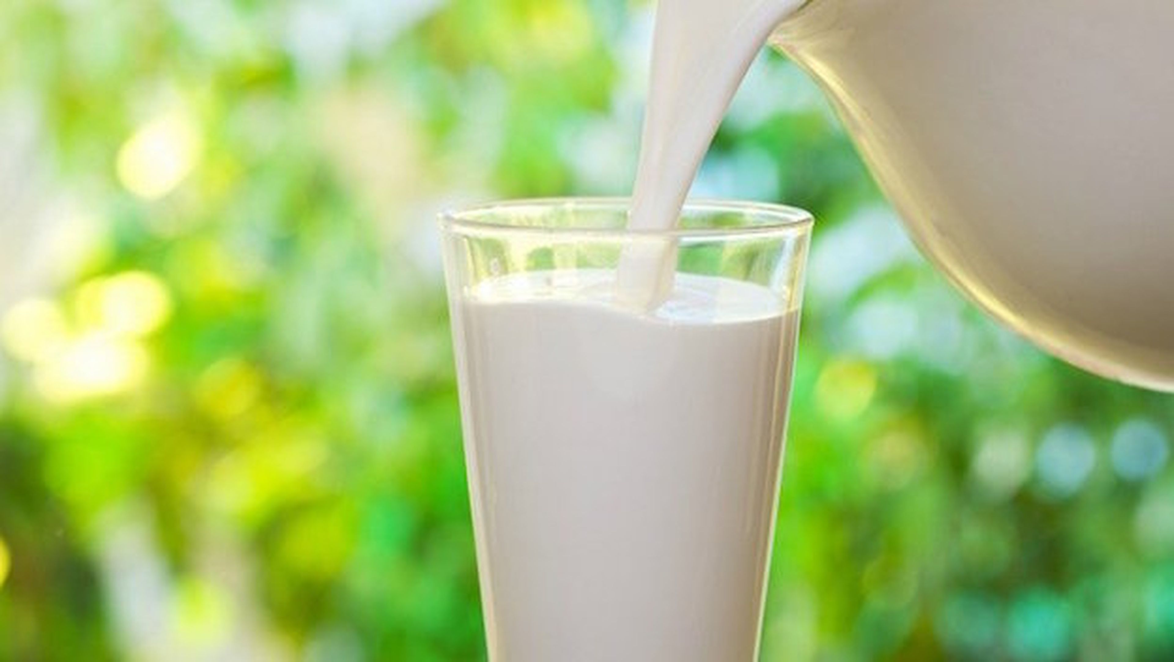 Alternativa a leche sabe igual pero no viene de la vaca