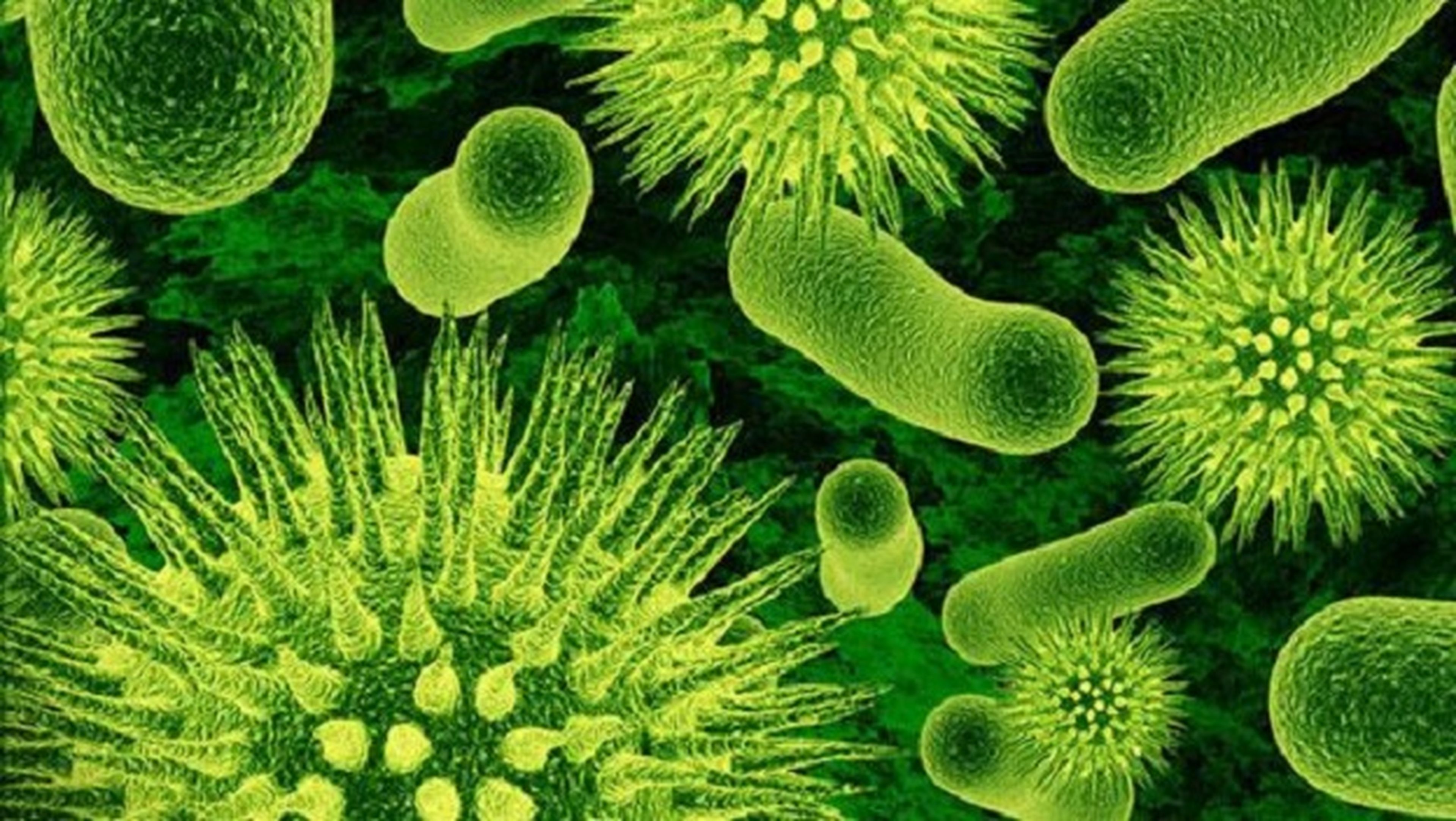 Polímetro destruye bacterias resistentes a antibióticos