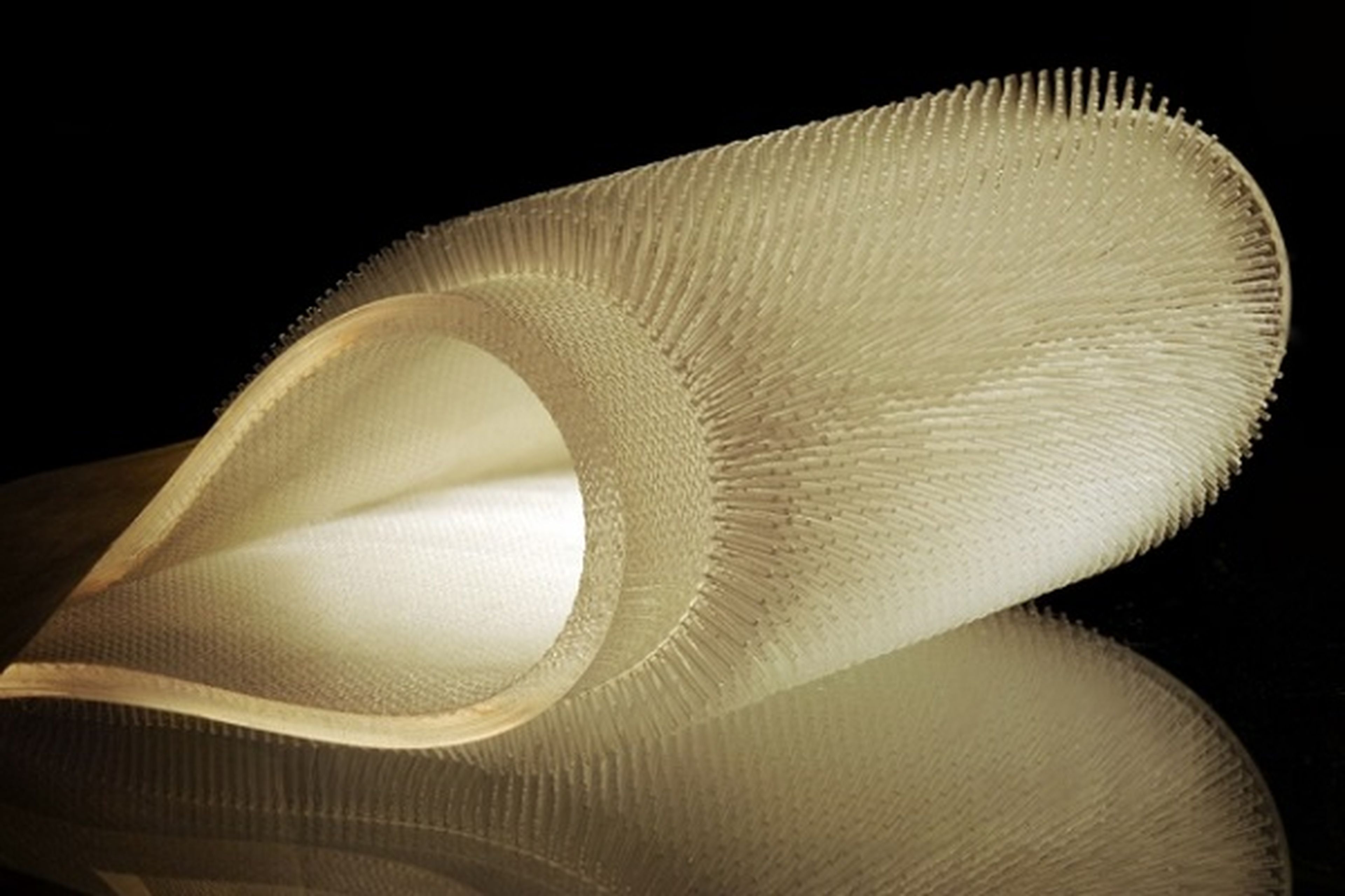 MIT desarrolla material inspirado en pelaje de castores