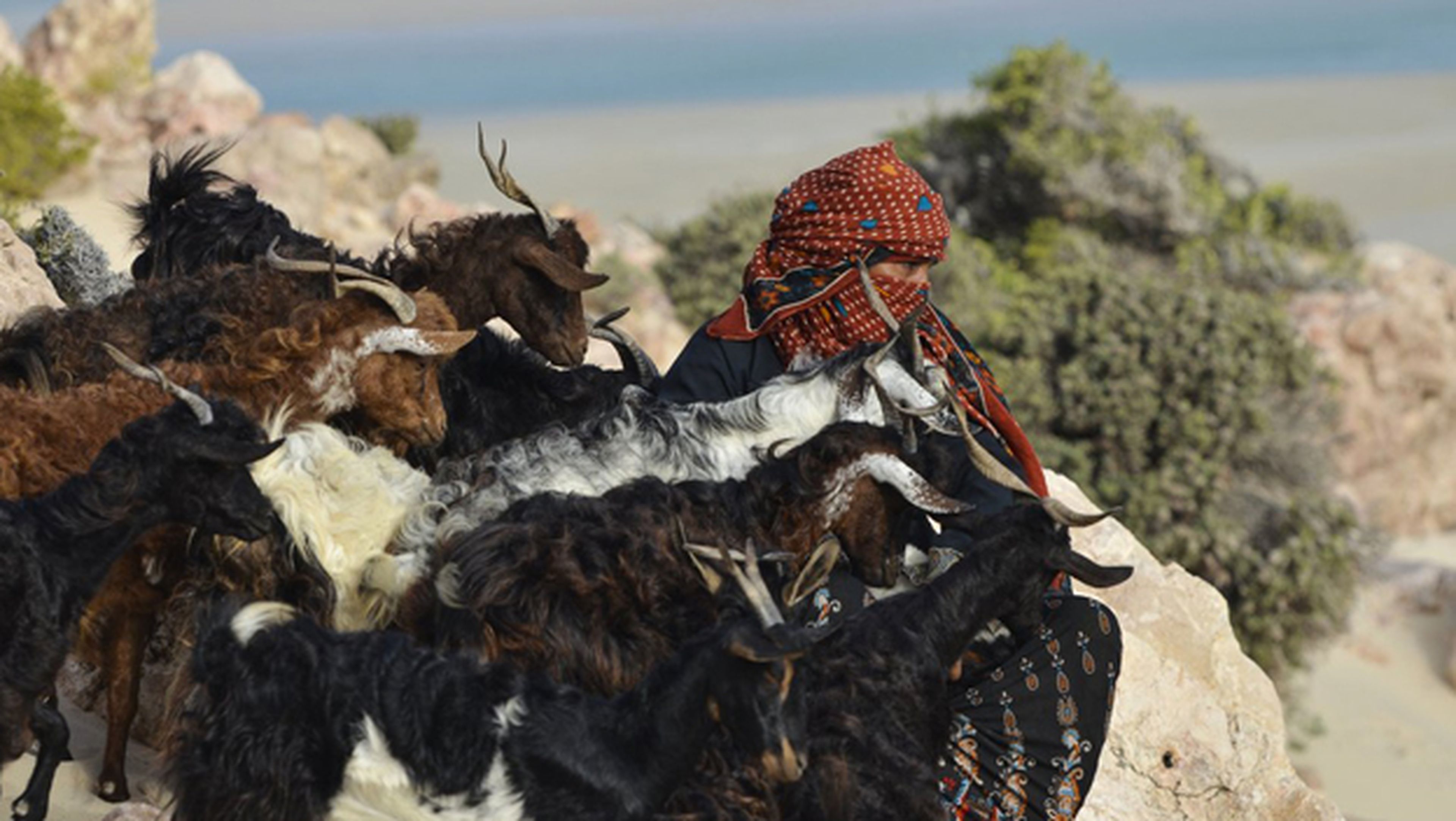 Socotra, el documental de Jordi Esteva sobre esta isla remota en el Índico