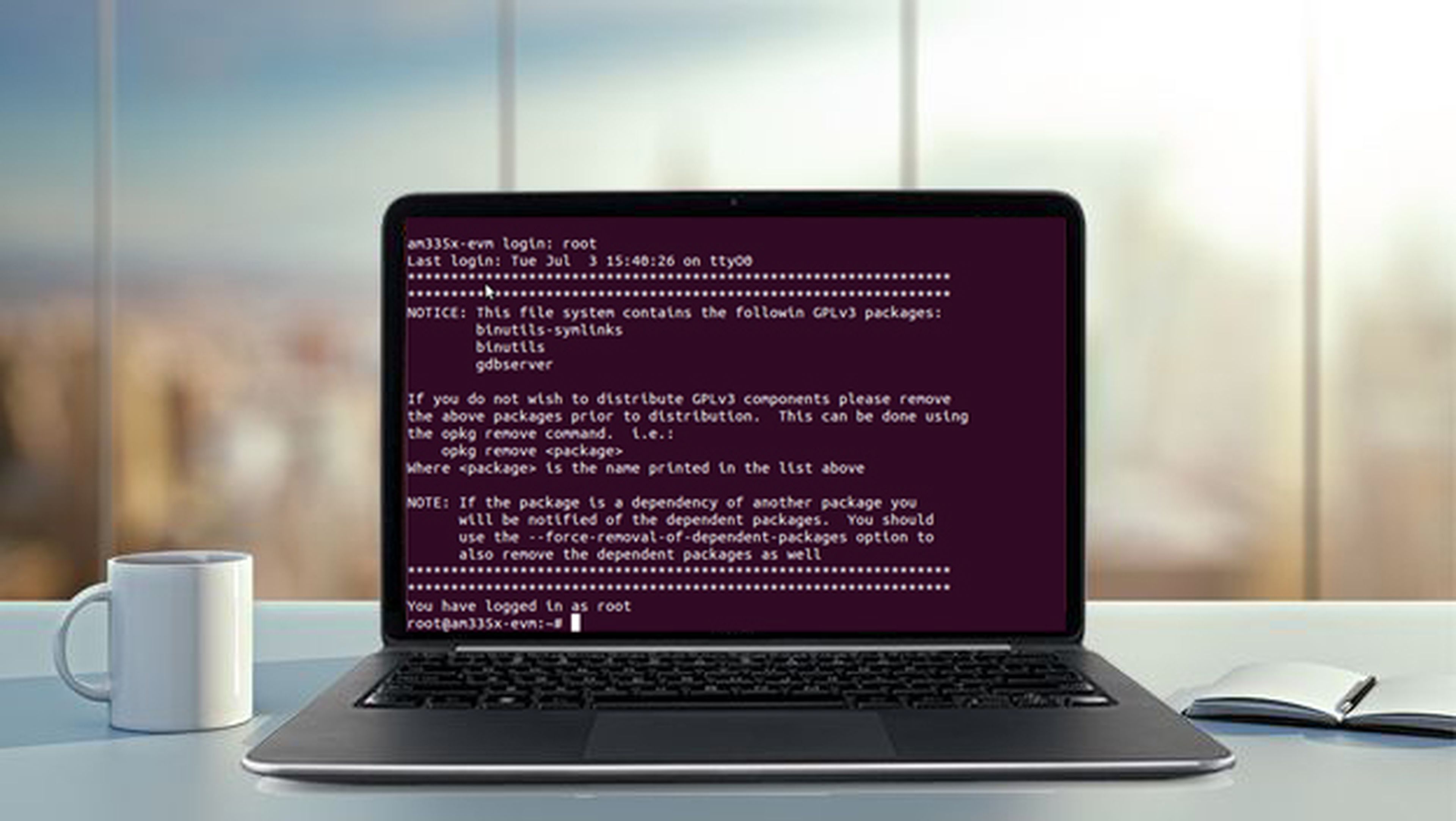 Ubuntu script