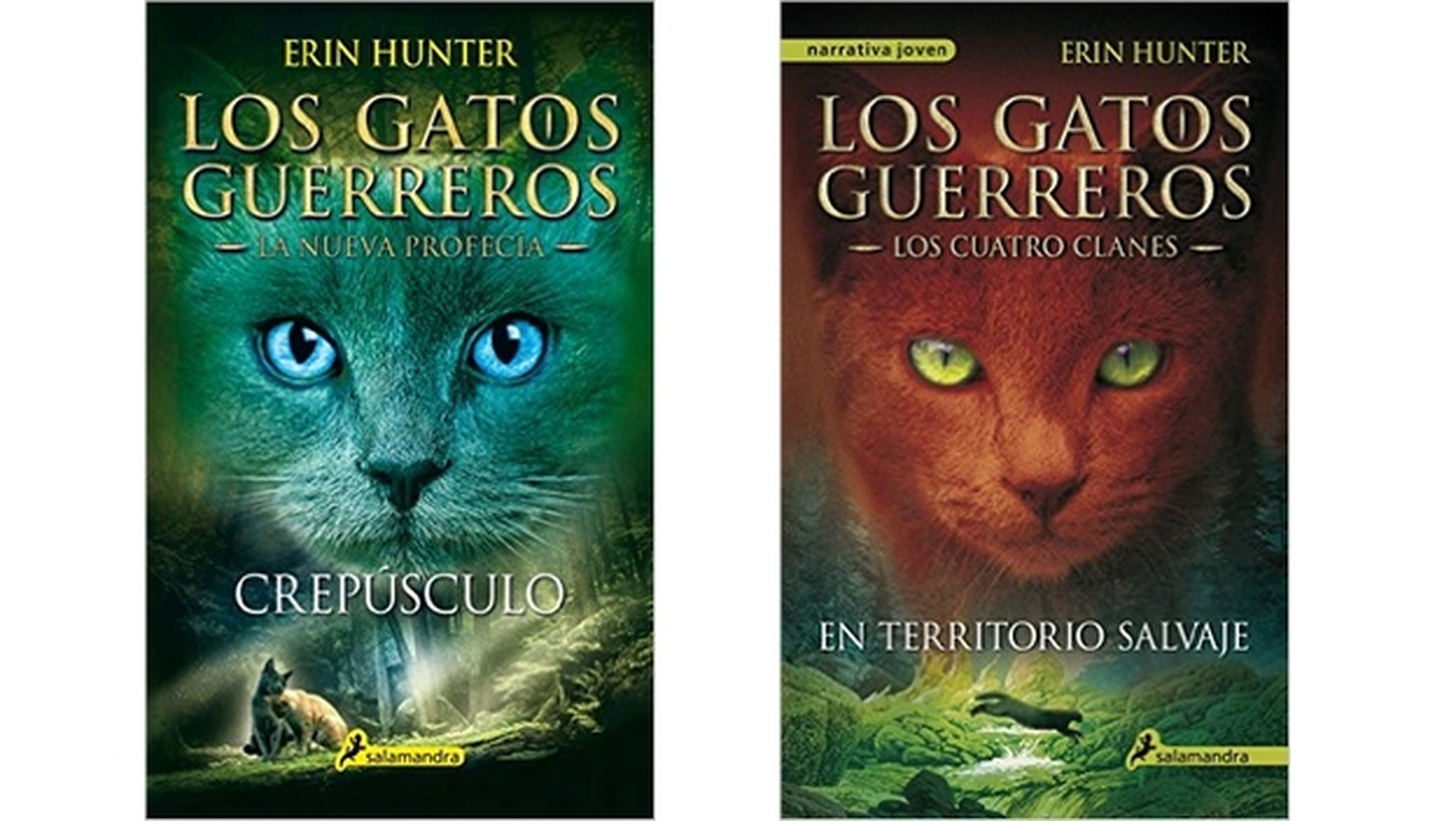 Alibaba rodará la película de la saga literaria Los Gatos Guerreros