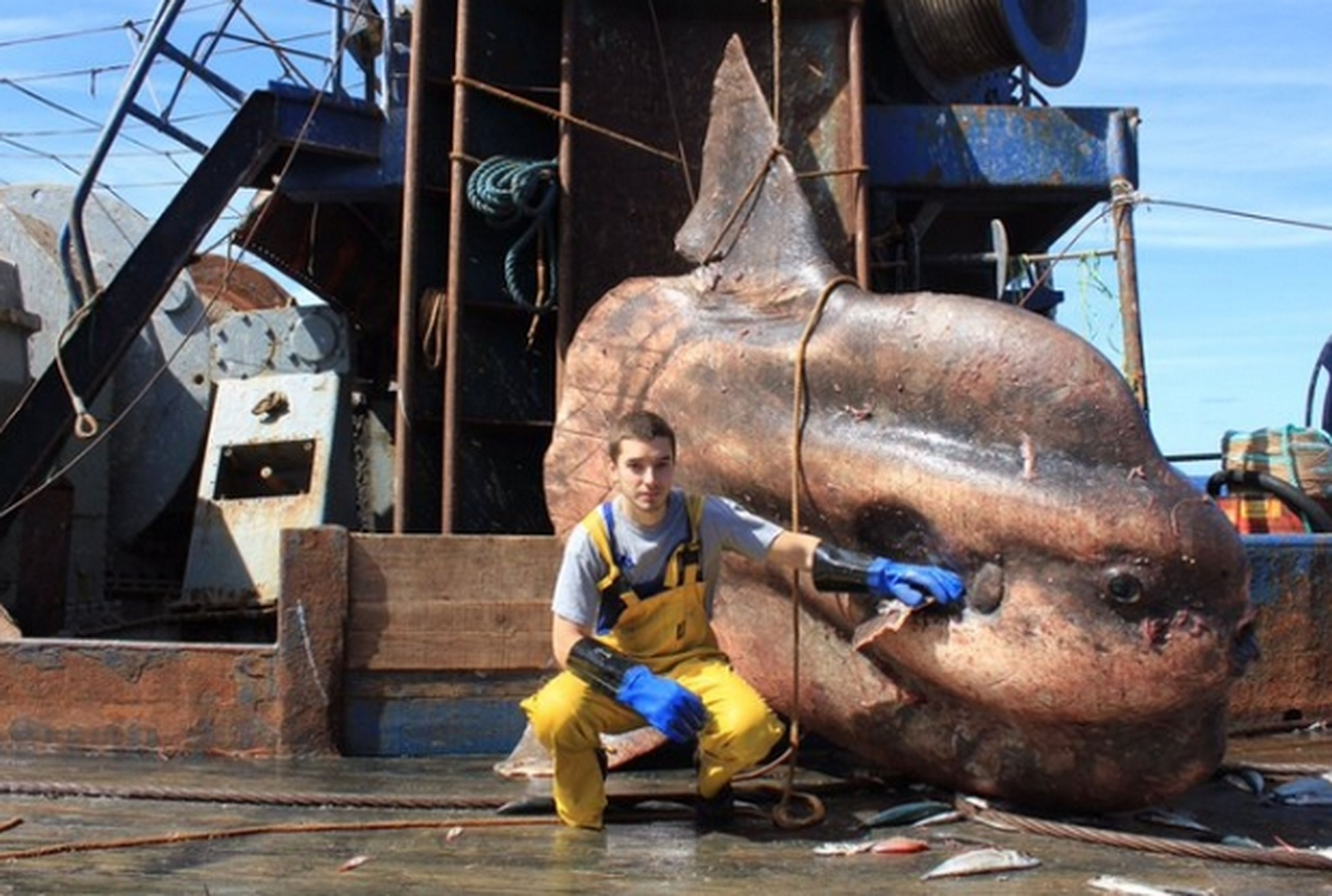 Un pescador muestra en Twitter los peces más terroríficos