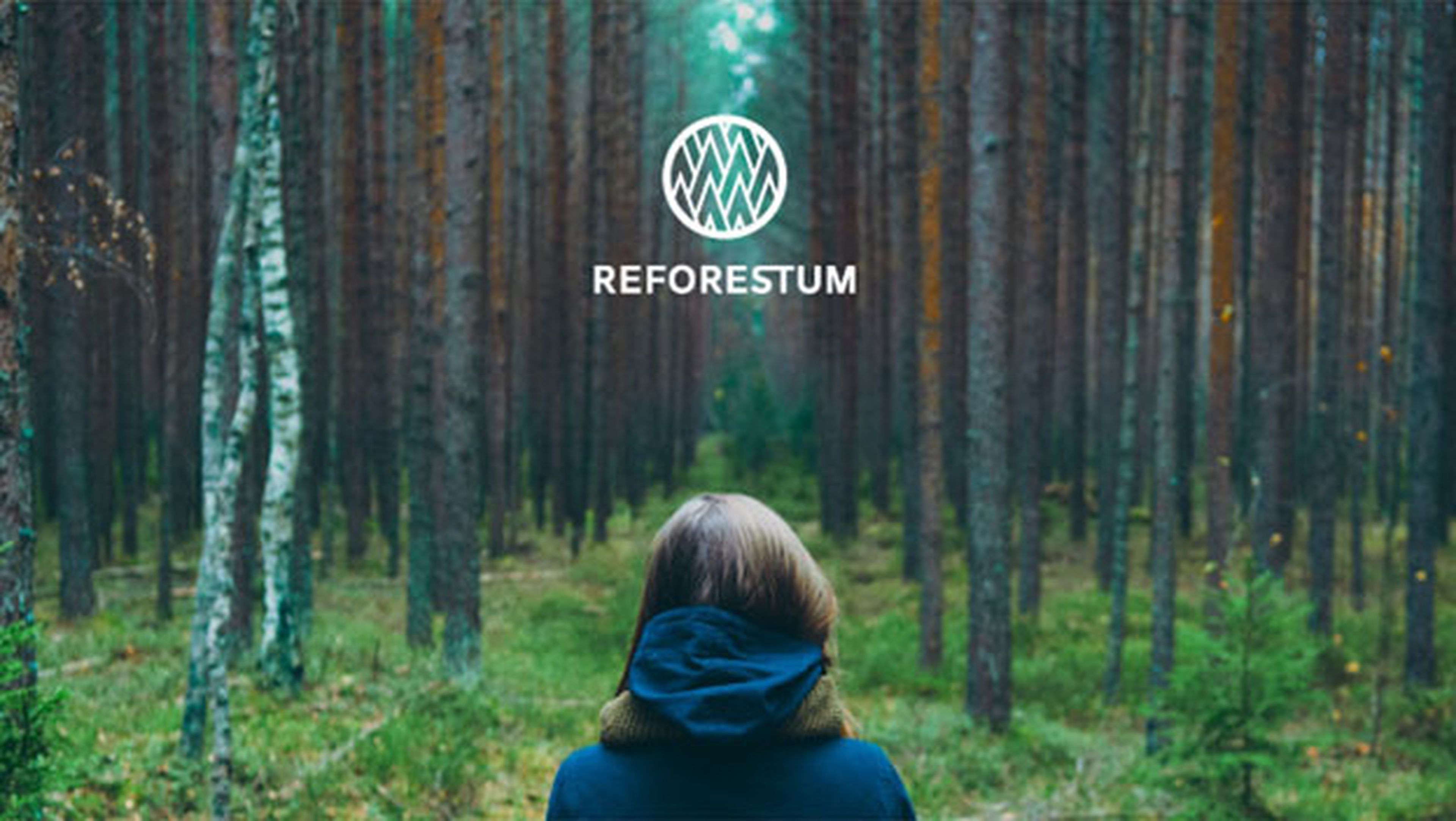 Compensa el CO2 que generas creando tu propio bosque con Reforestum