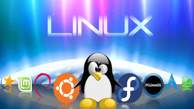 Qué es una distribución Linux, en qué se diferencian y cómo elegir una |  Computer Hoy