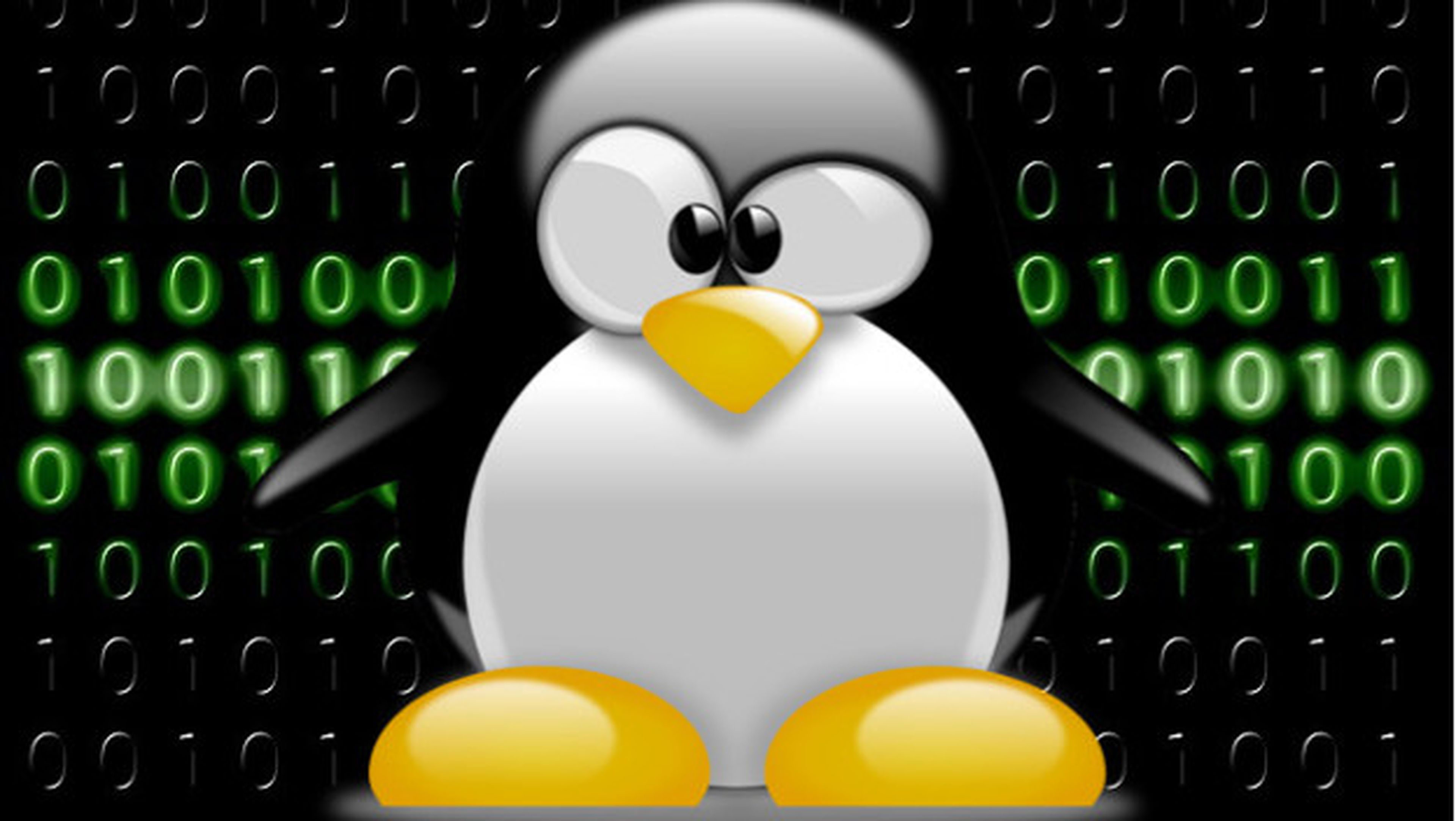 Peligros de seguridad en Linux: vulnerabilidades a hackers, malware y ransomware