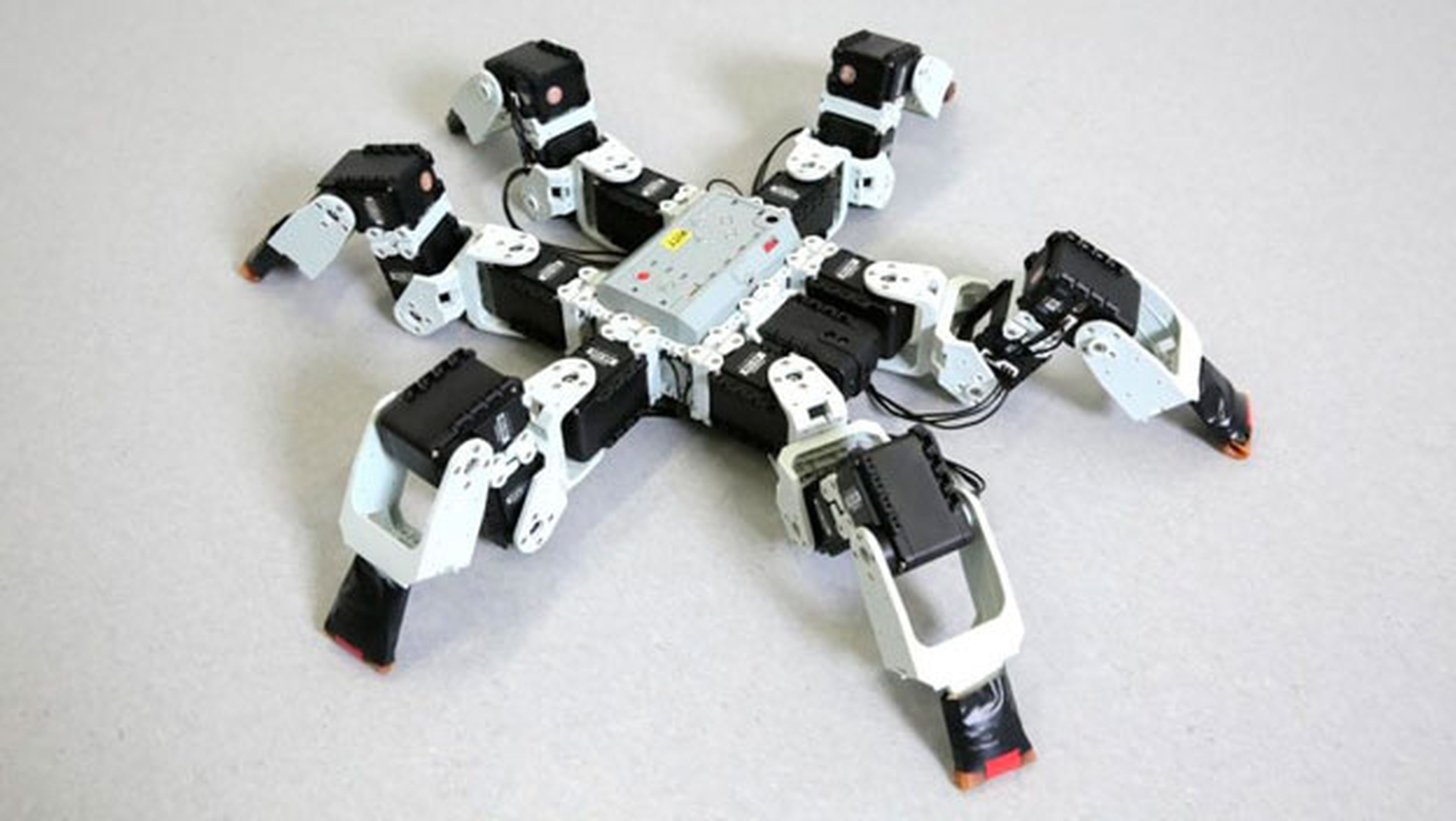 robot insecto