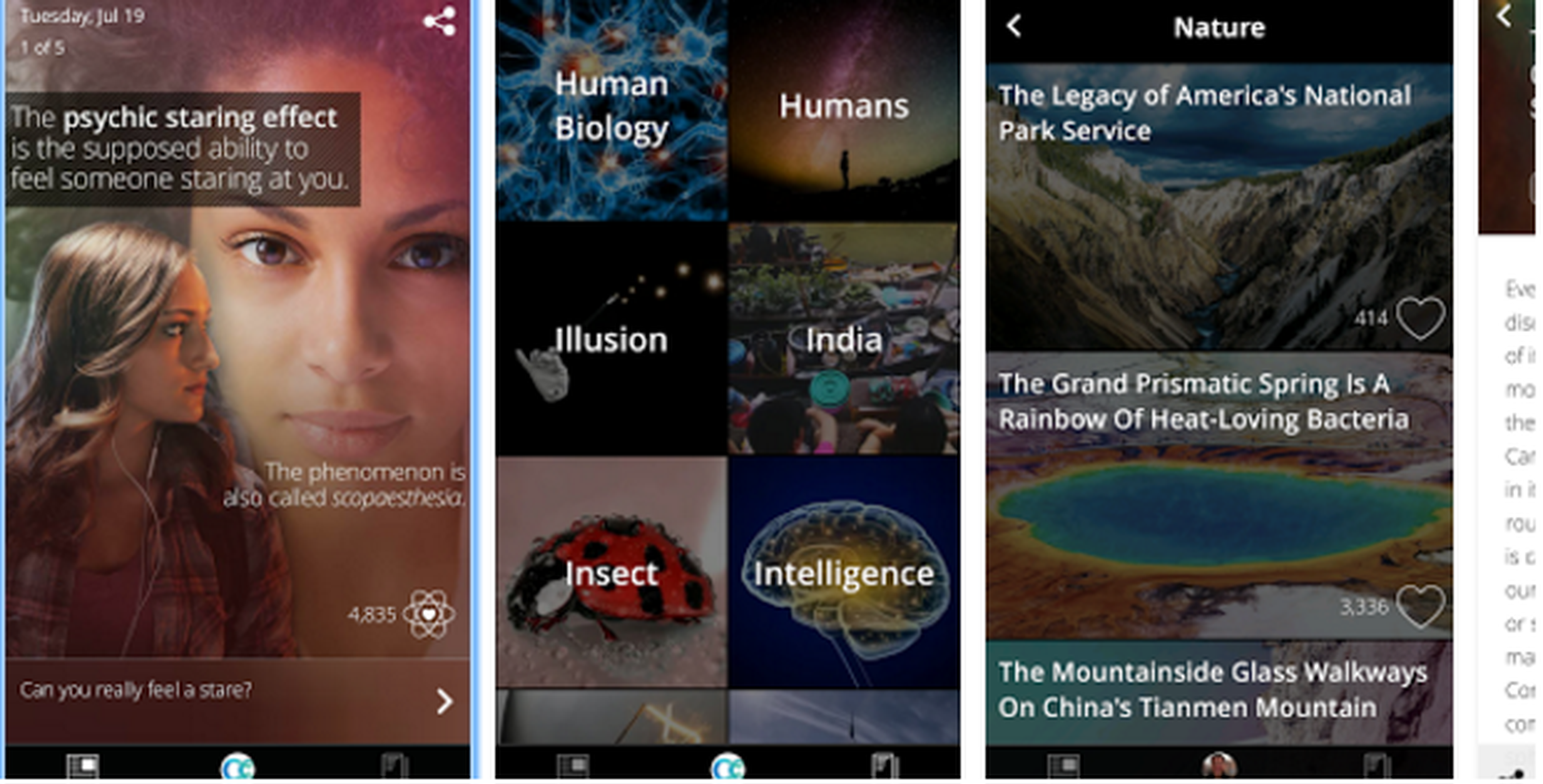 Curiosity, la app con la que aprenderás algo nuevo cada día