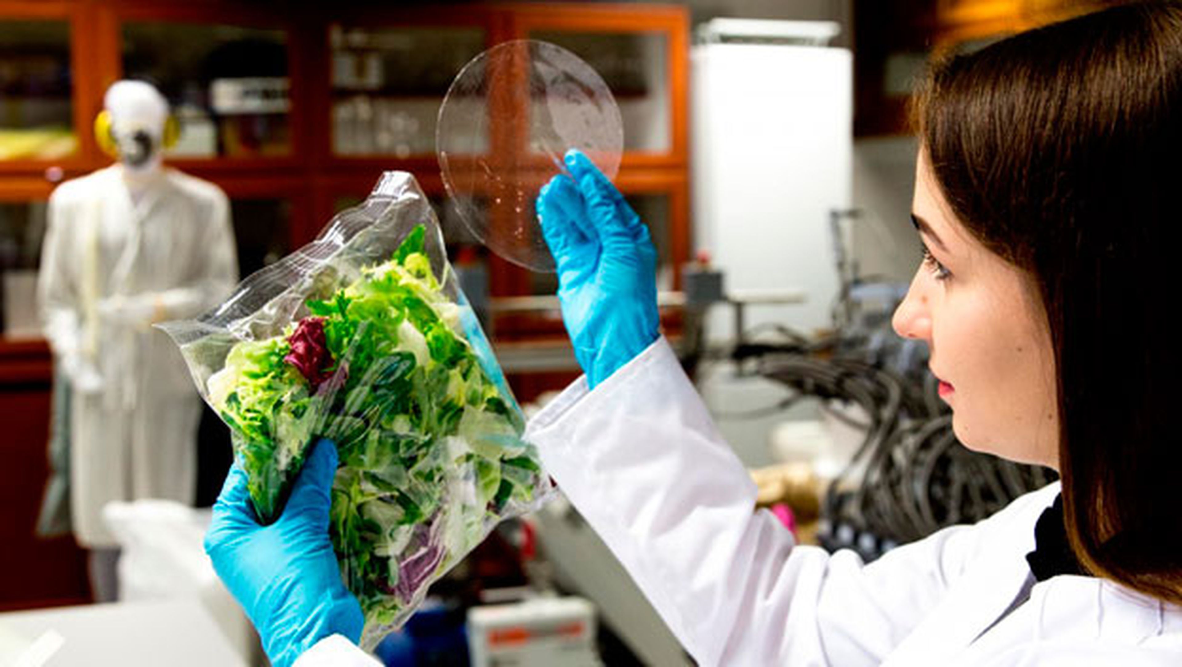envase comida biodegradable
