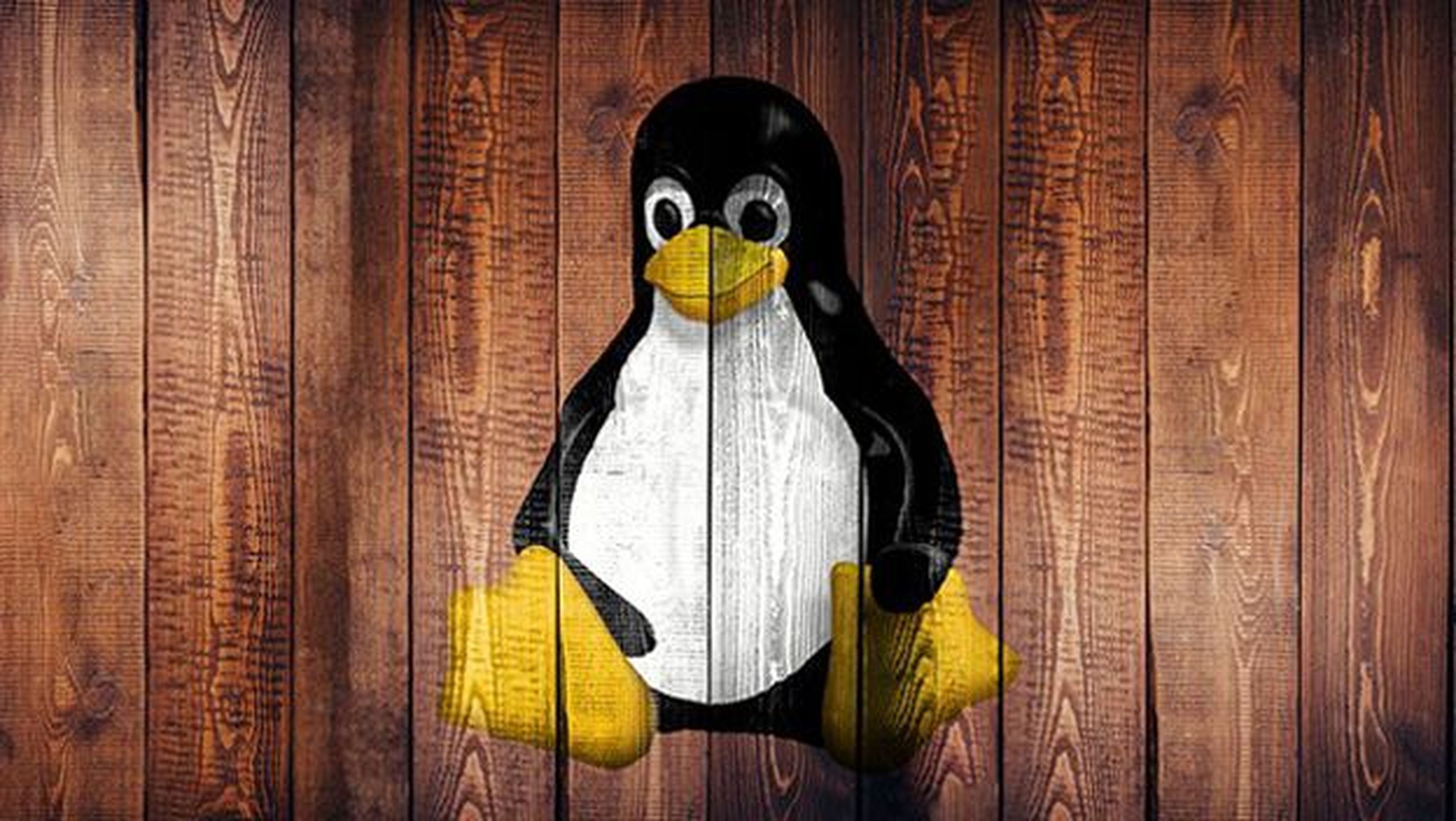 Instalar Linux como alternativa gratis a Windows.