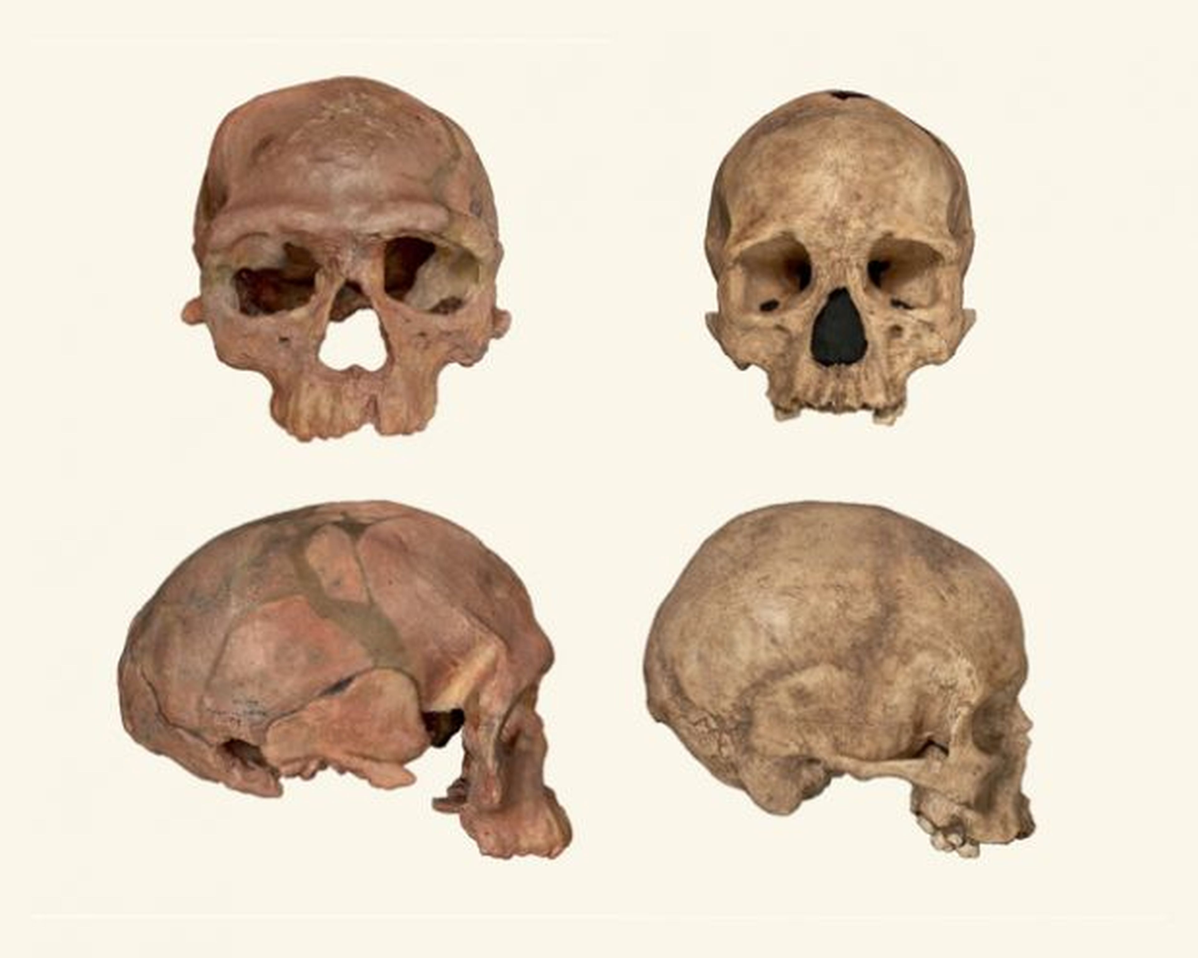 Hallados restos de los primeros Homo Sapiens en Marruecos