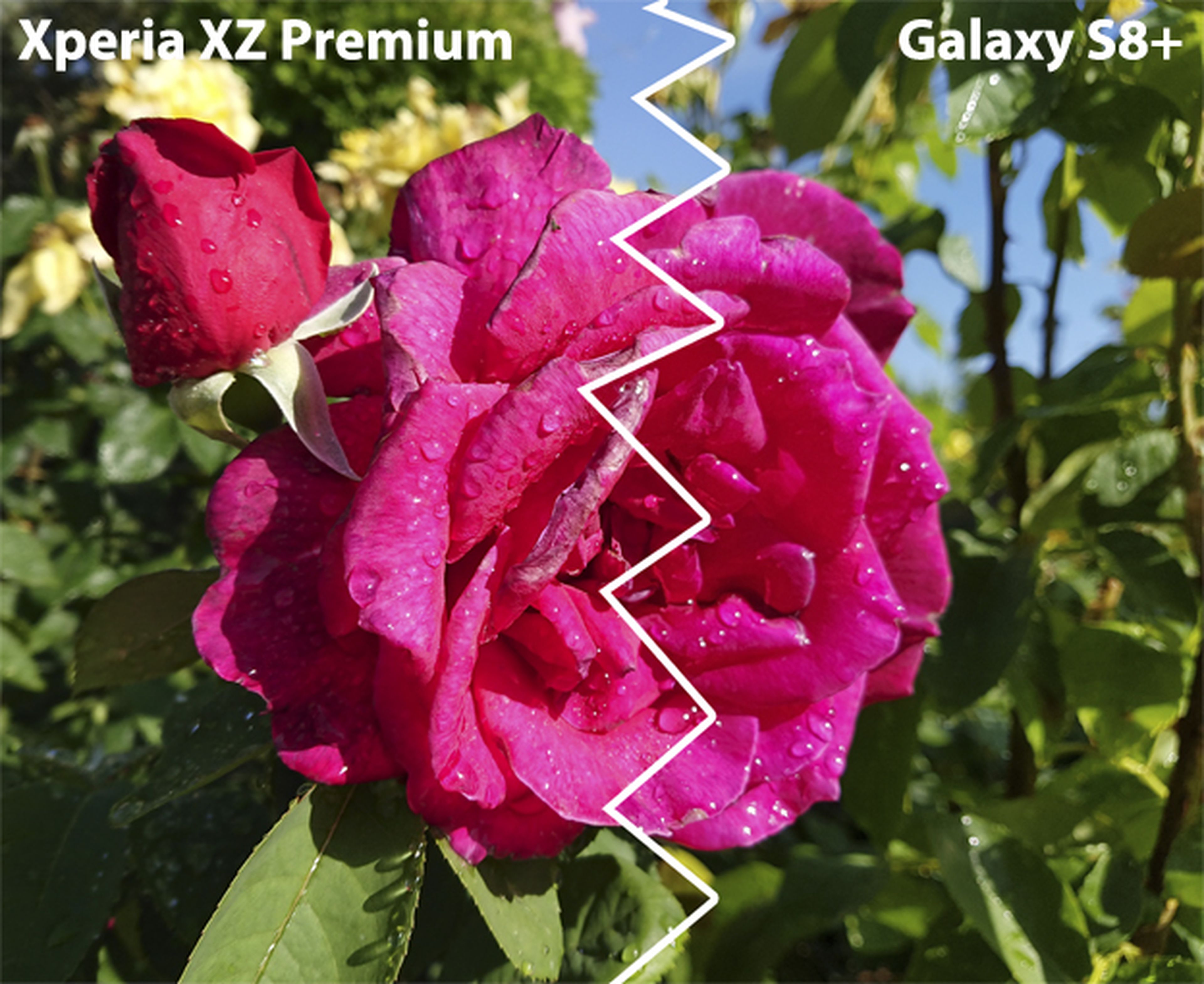 Foto del Xperia XZ Premium vs S8+