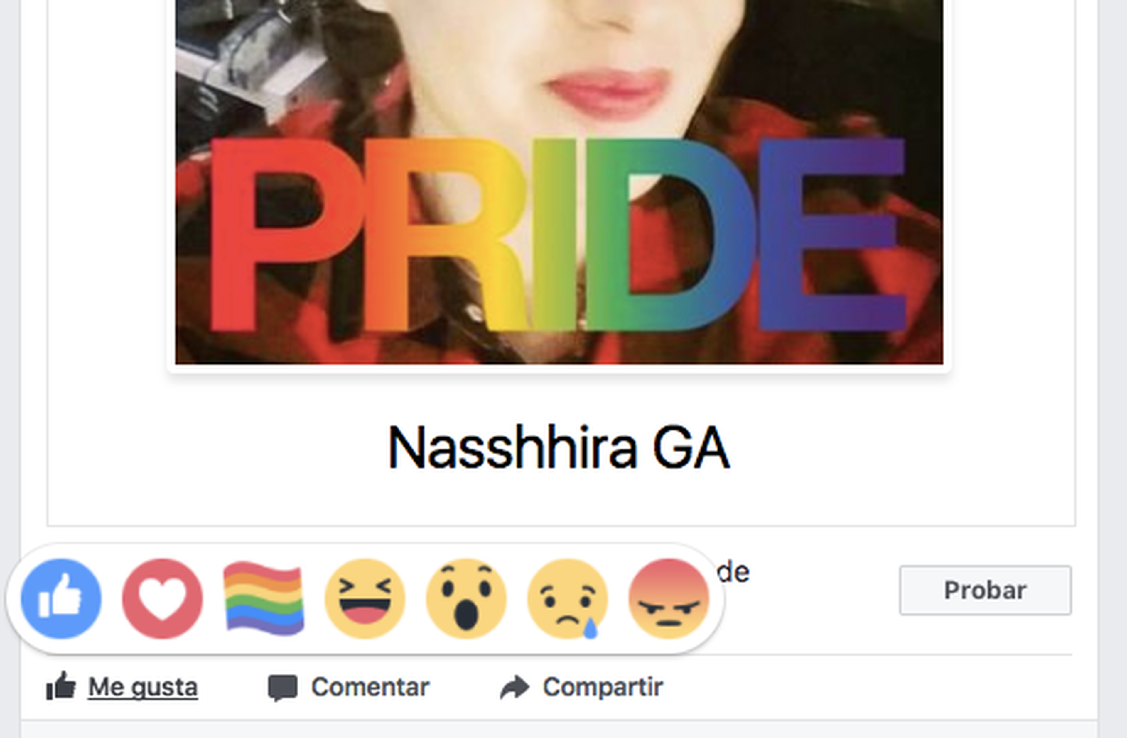 Orgullo Gay Facebook