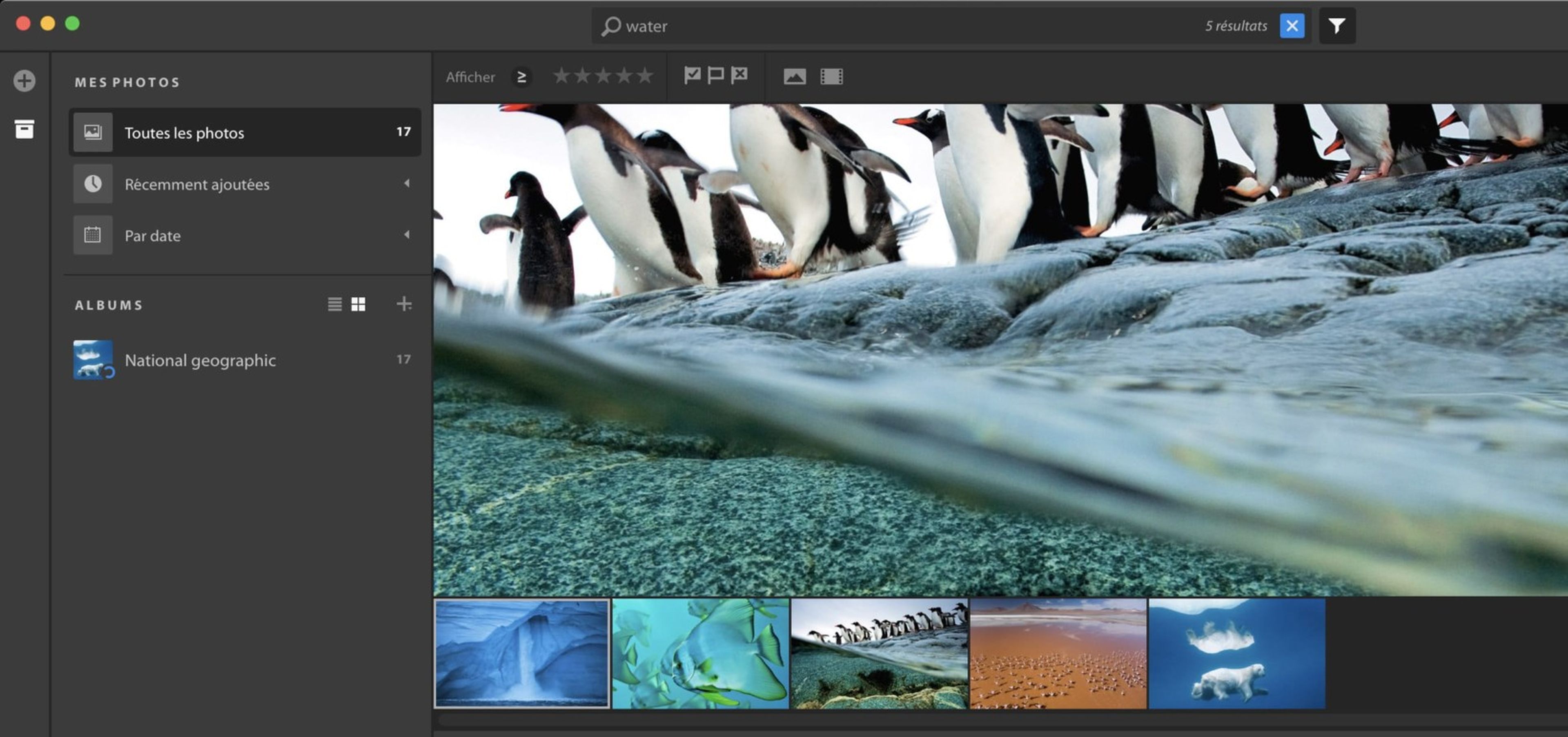 Adobe filtra Nimbus, su nueva aplicación para editar fotos