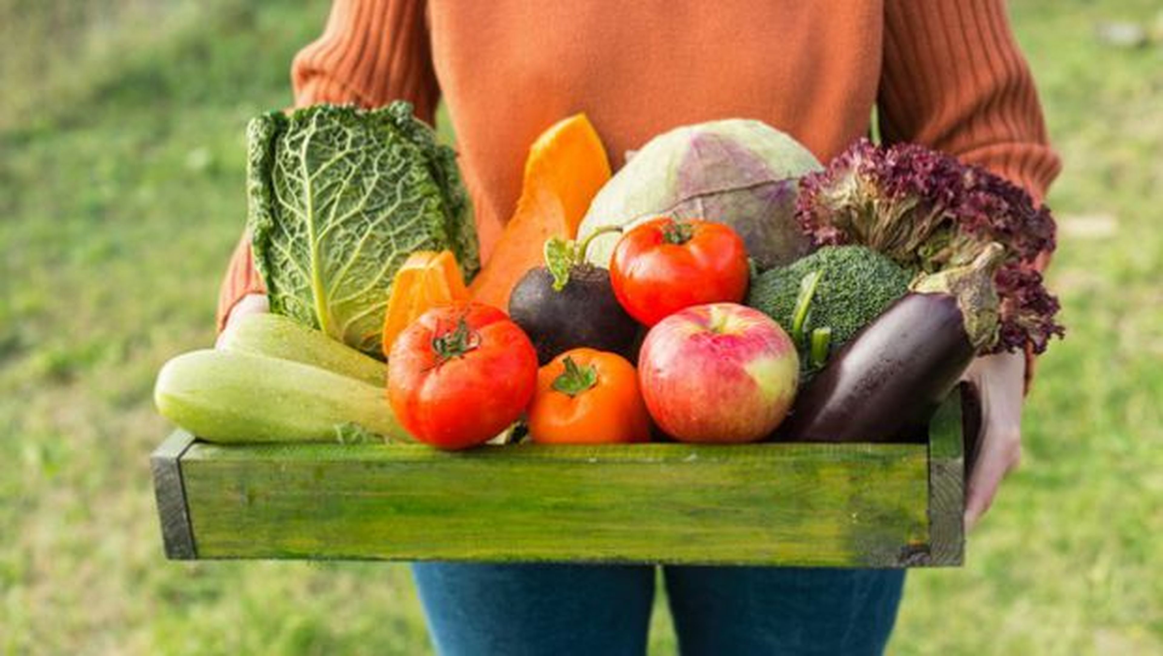 Vegano o Vegetariano: qué es, diferencias y tipos