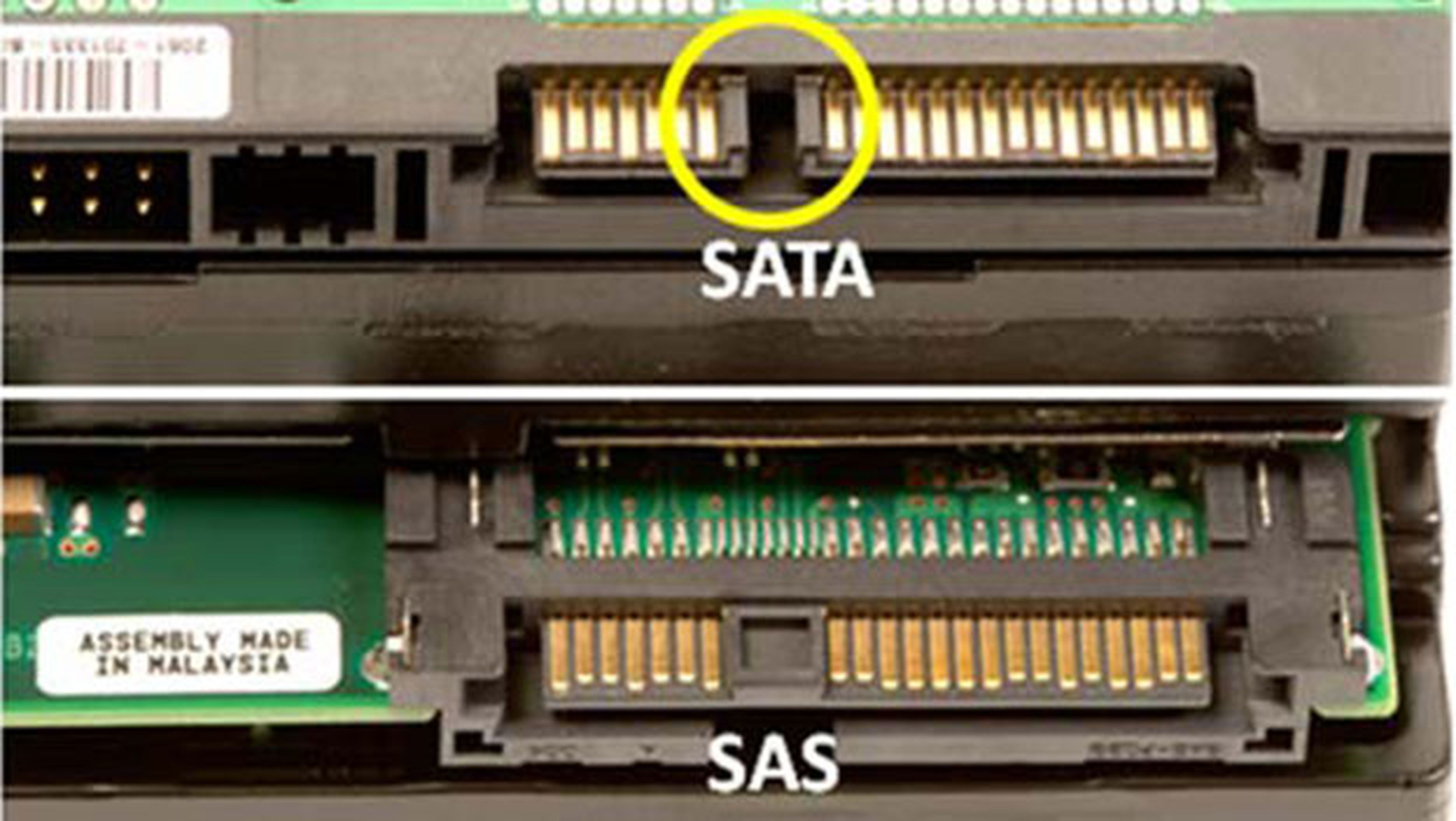 Los conectores de SATA y SAS son ligeramente diferentes.