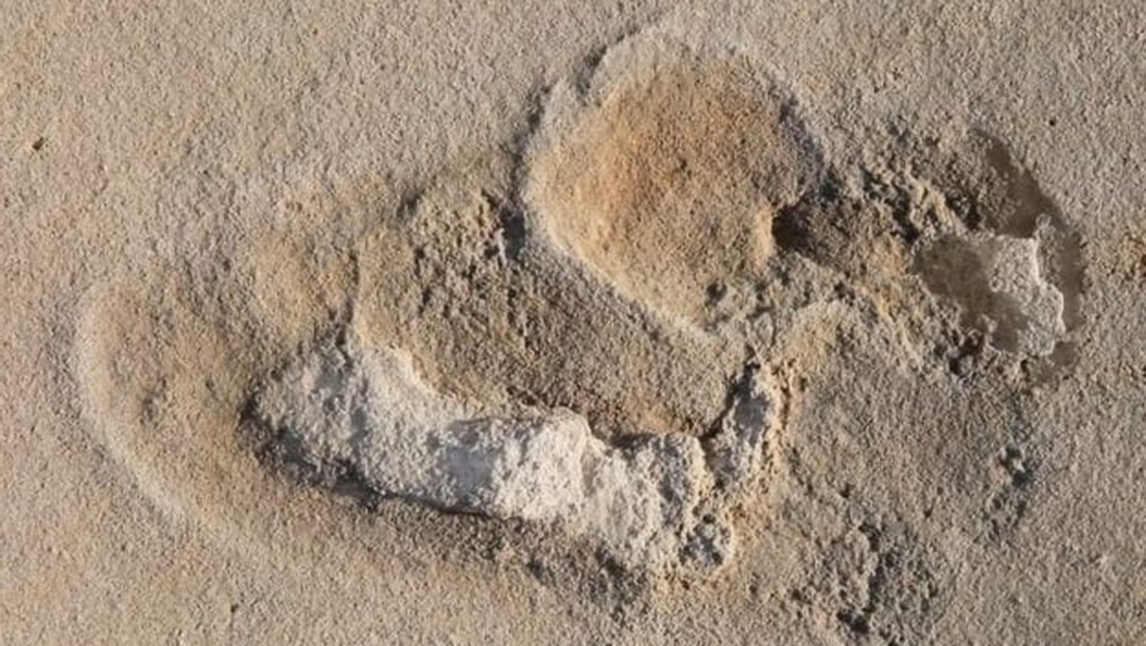 Huellas humanas de hace 6 millones de años en Trachilos, Creta