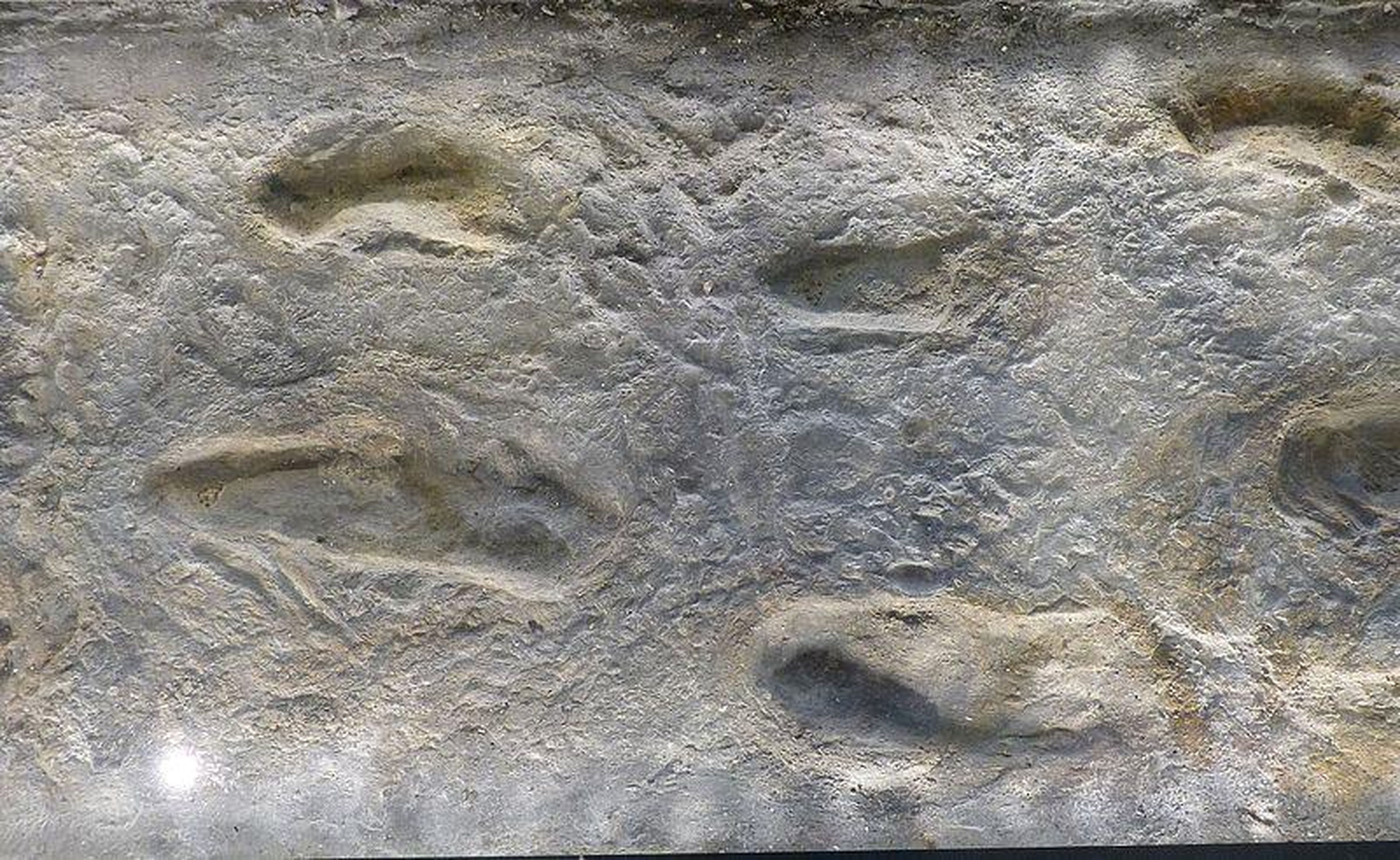 Huellas humanas de hace 6 millones de años en Trachilos, Creta