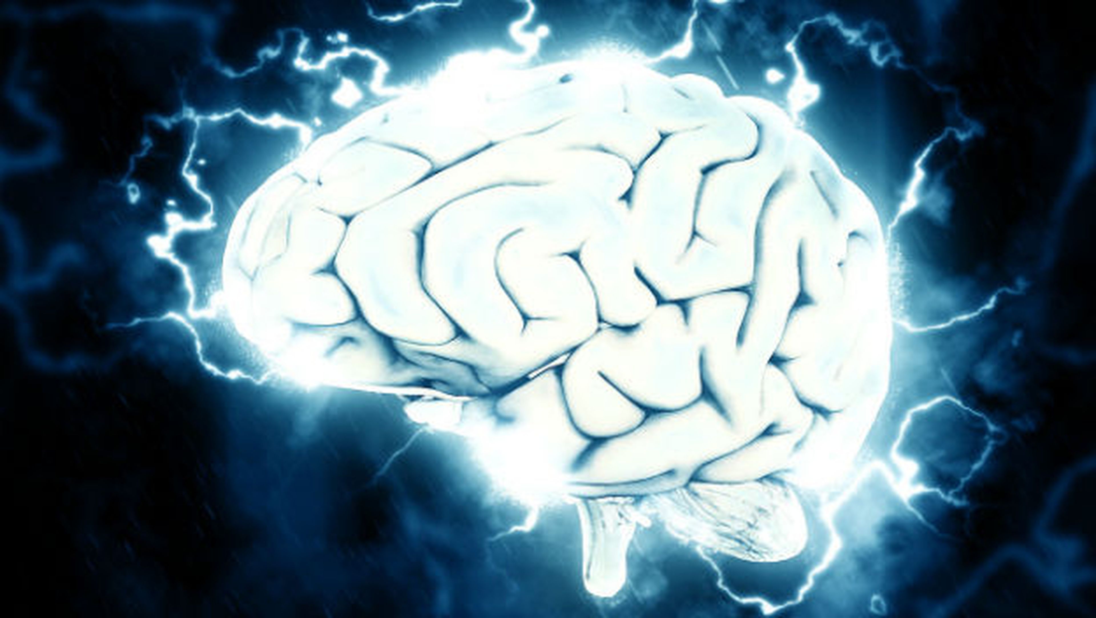 Un cerebro conectado a Internet gracias a este increíble experimento científico.