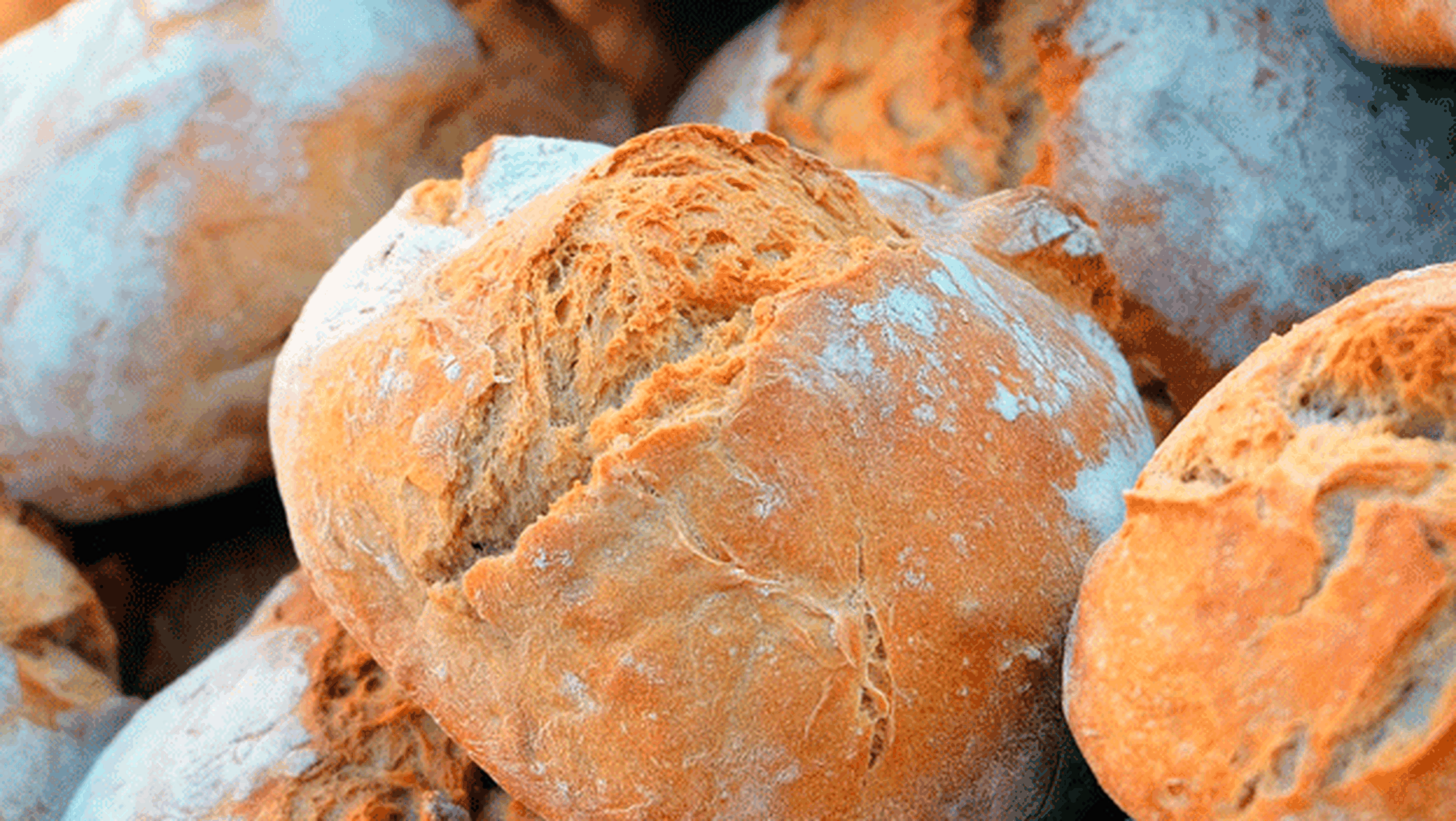 Pan para celiacos con trigo modificado