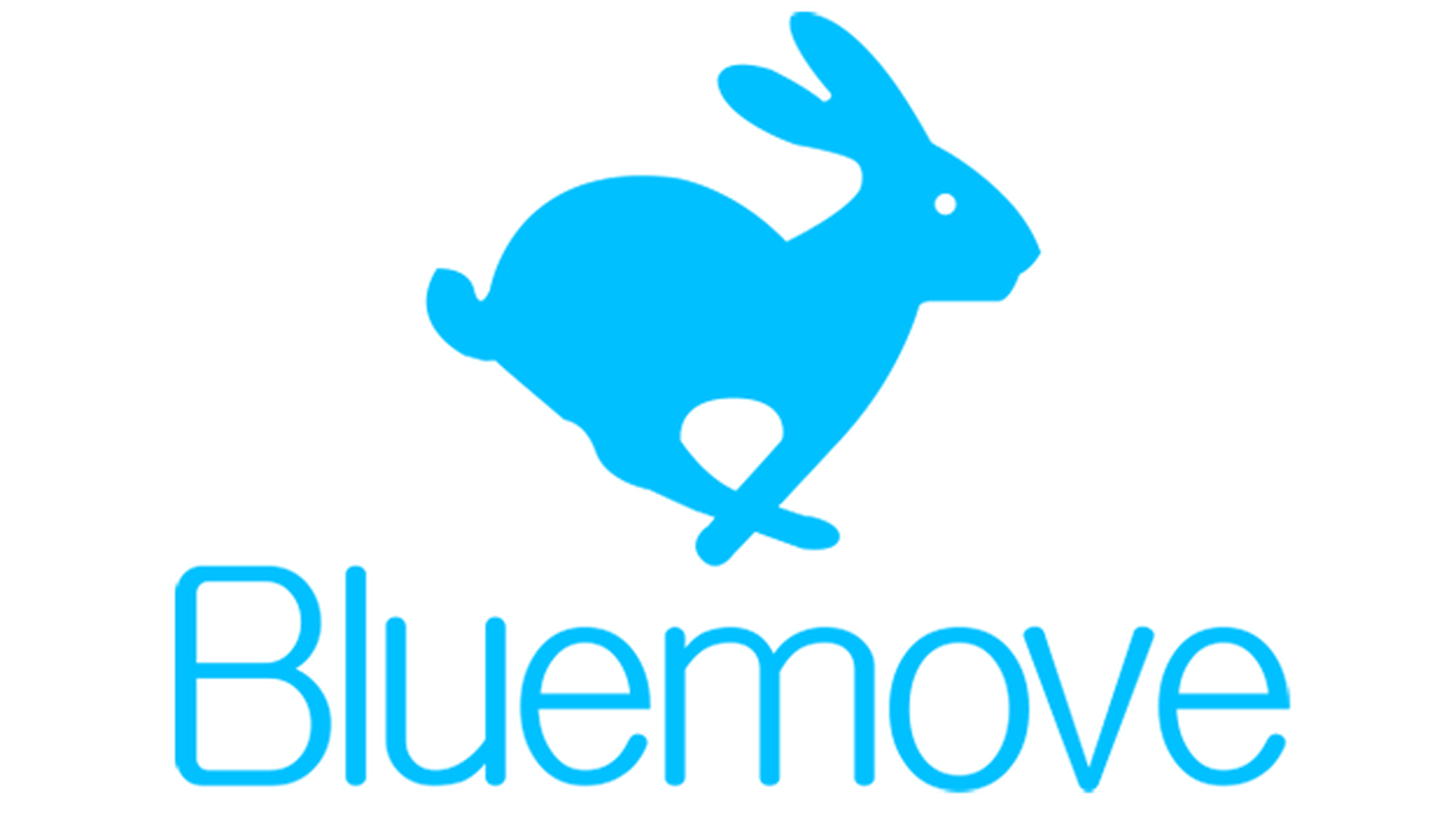 Bluemove Carsharing