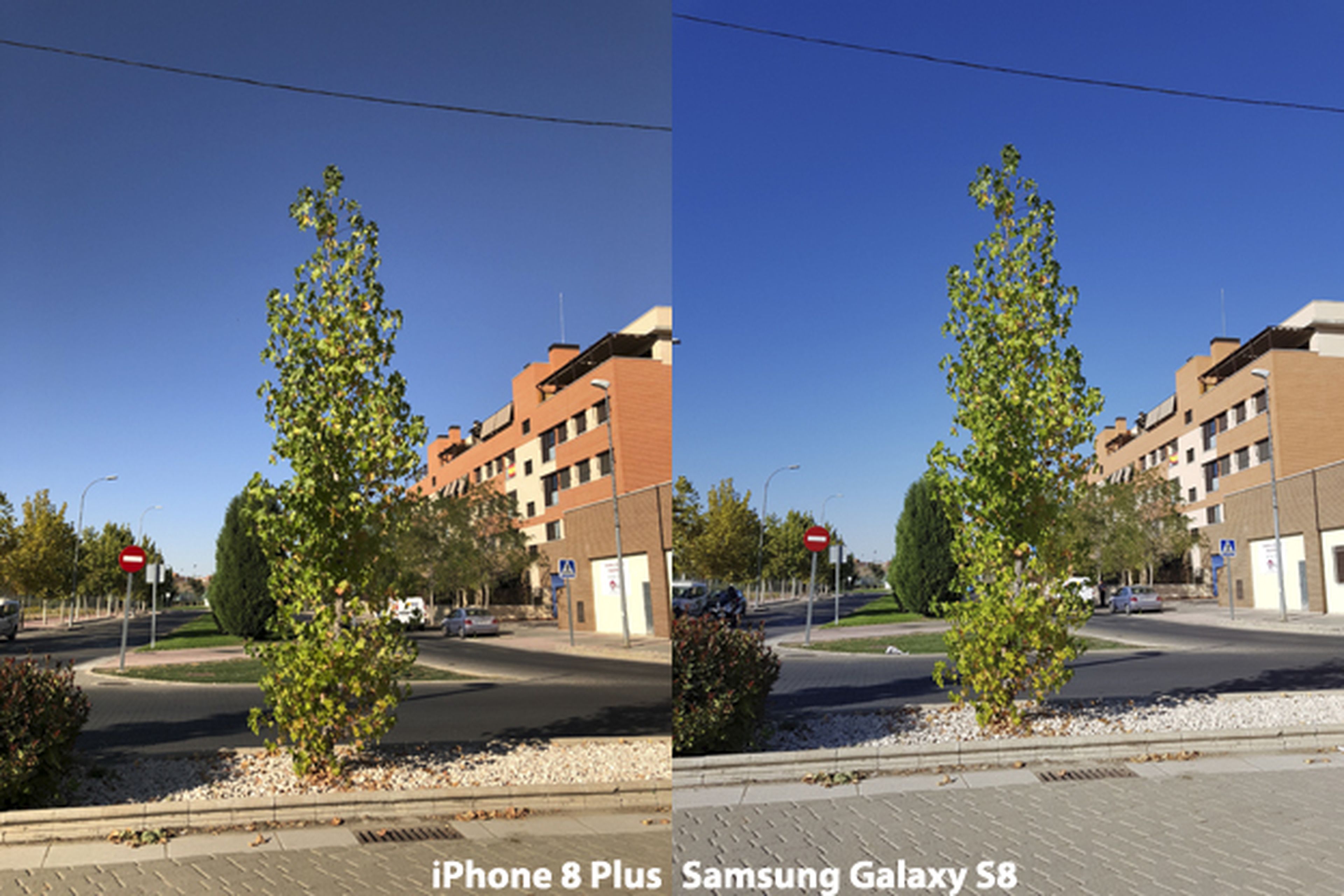 Cámara del iPhone 8 Plus vs Galaxy S8 (1)