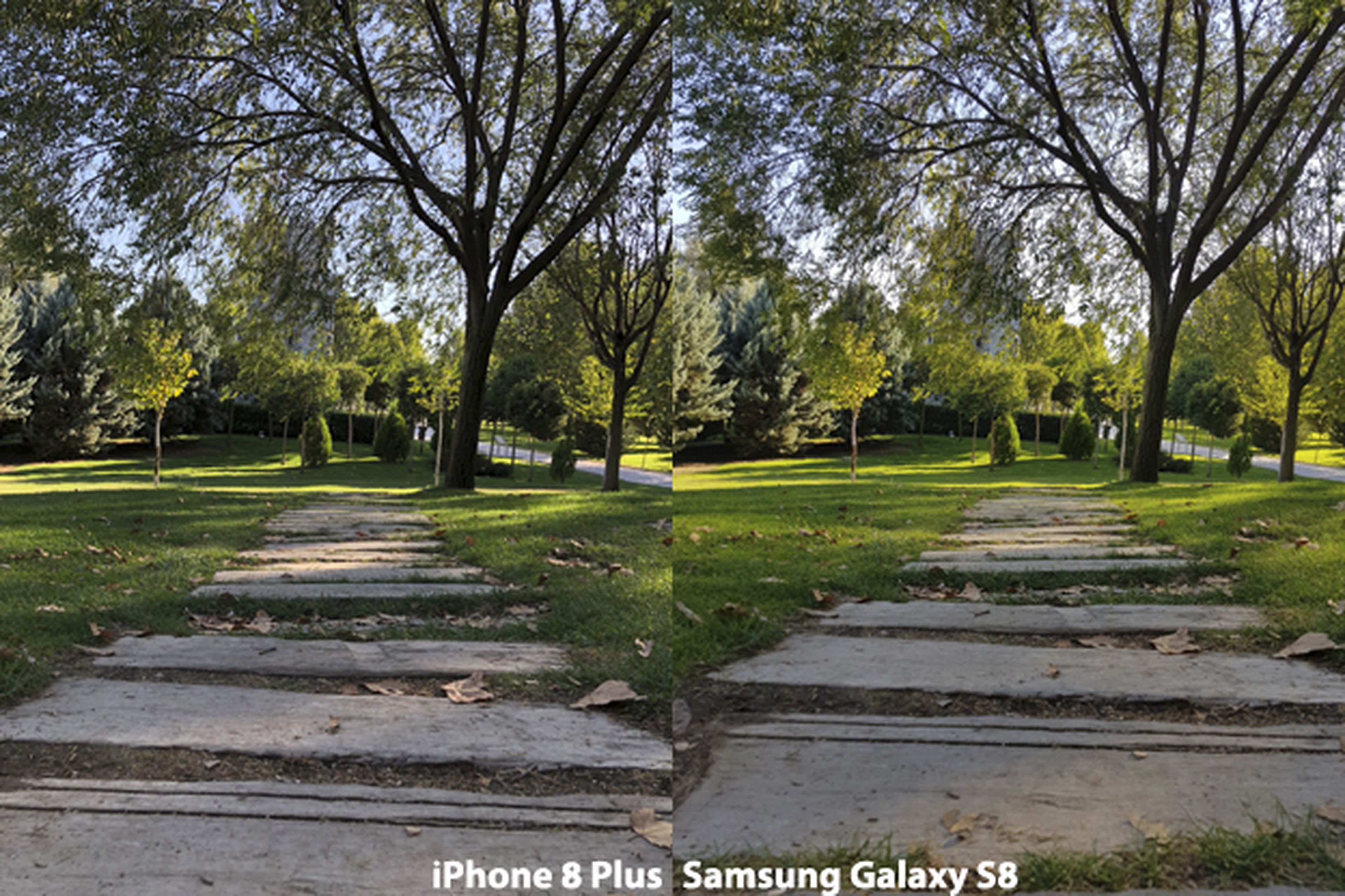Cámara del iPhone 8 Plus vs Galaxy S8 (2)