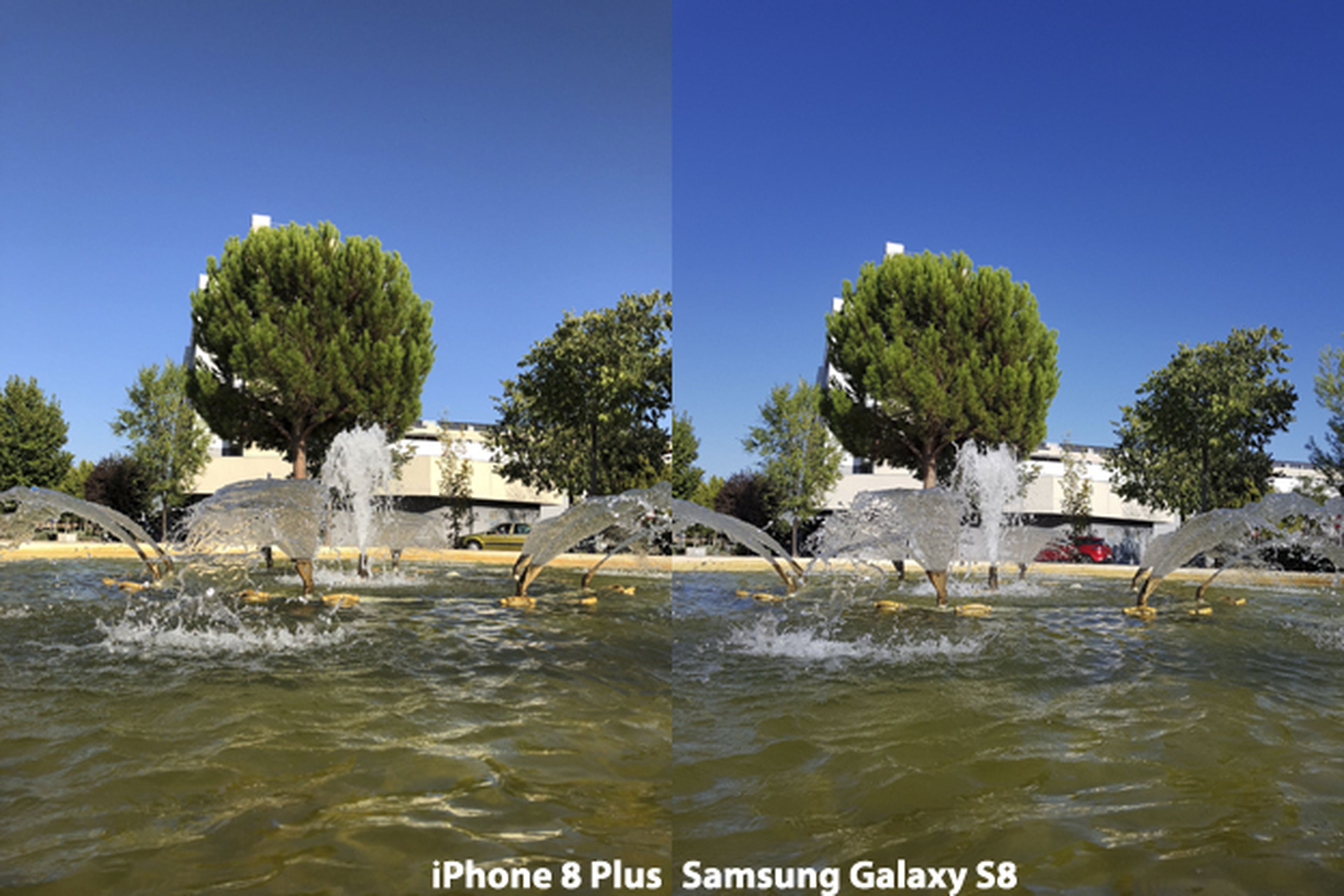 Cámara del iPhone 8 Plus vs Galaxy S8 (3)