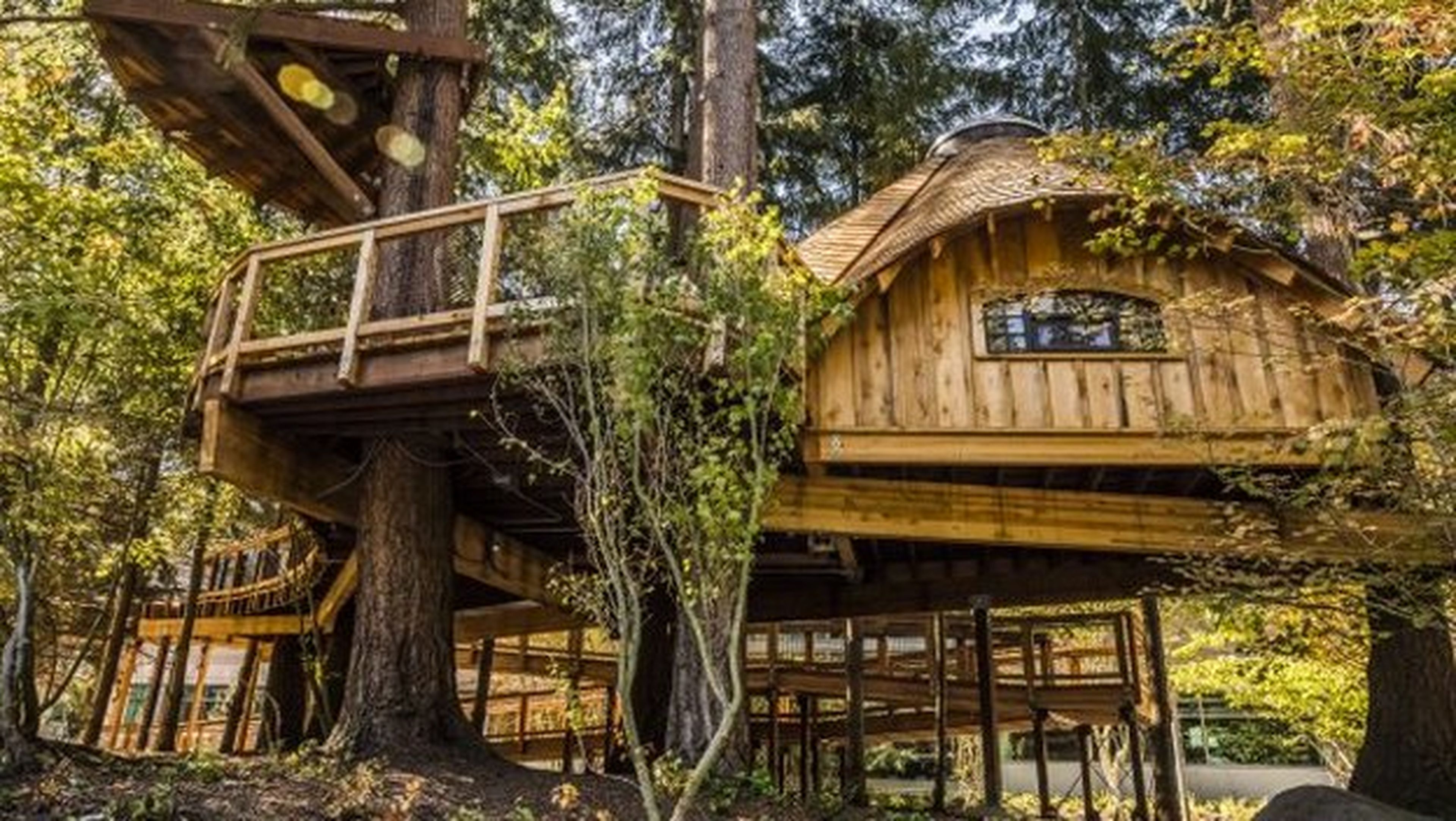 Microsoft construye casas en los árboles para sus empleados