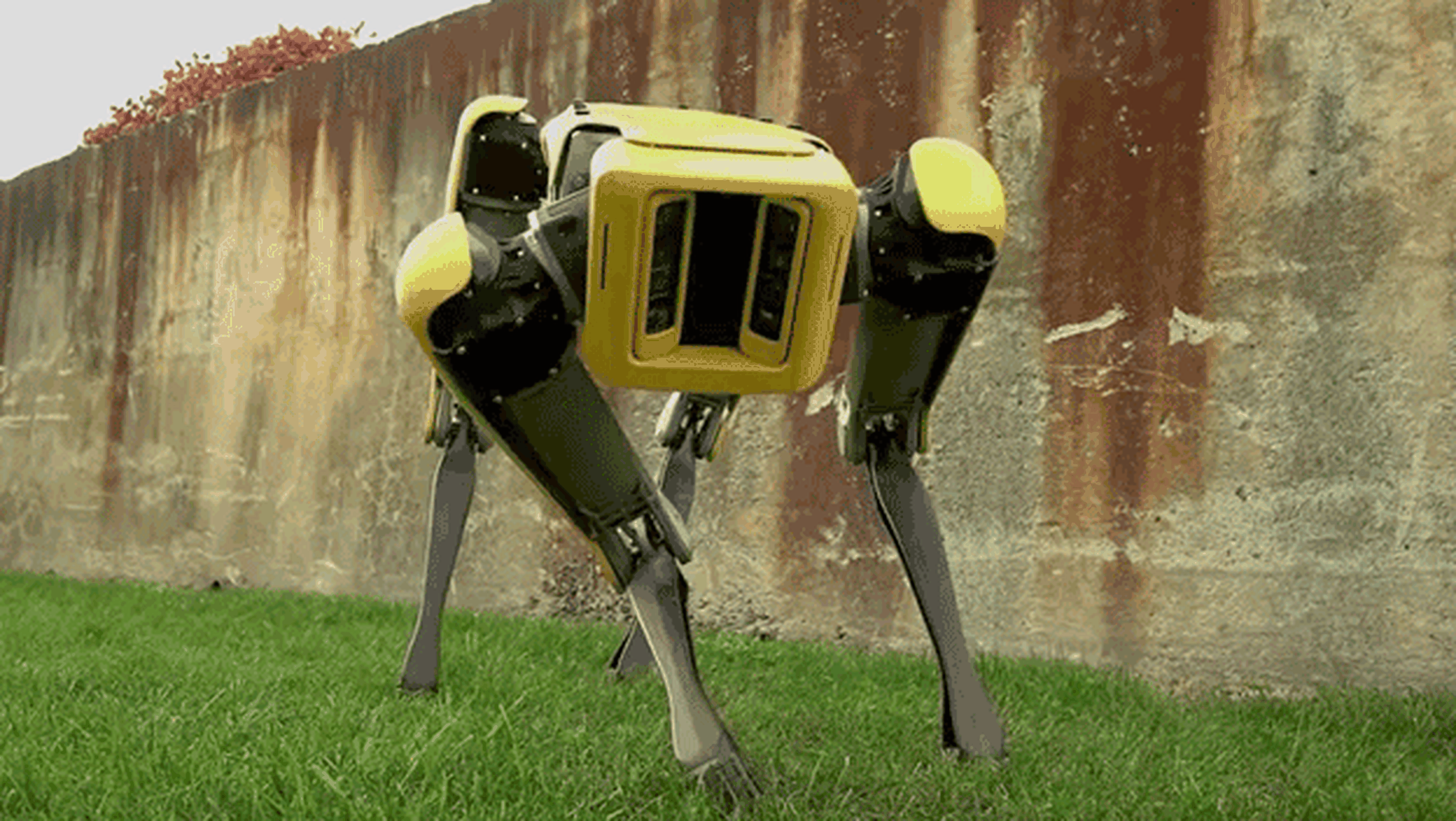 perro robot spotmini boston dinamics