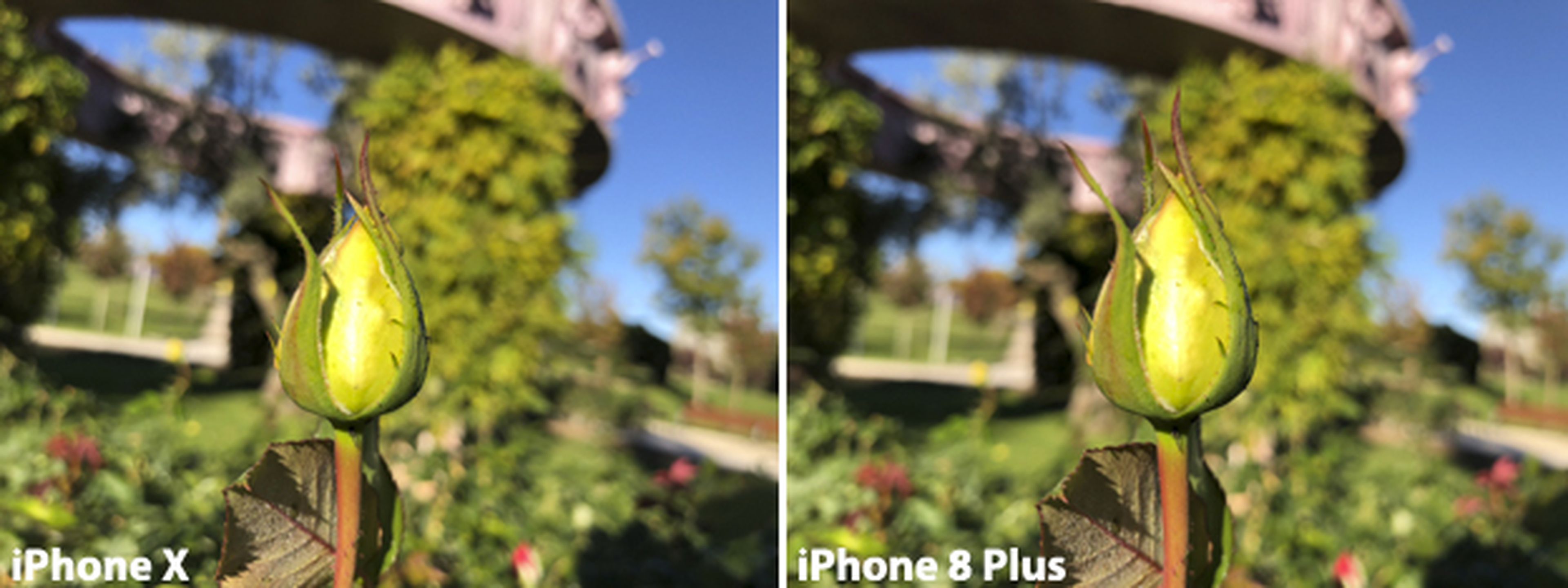 Comparativa de la cámara del iPhone X (3)