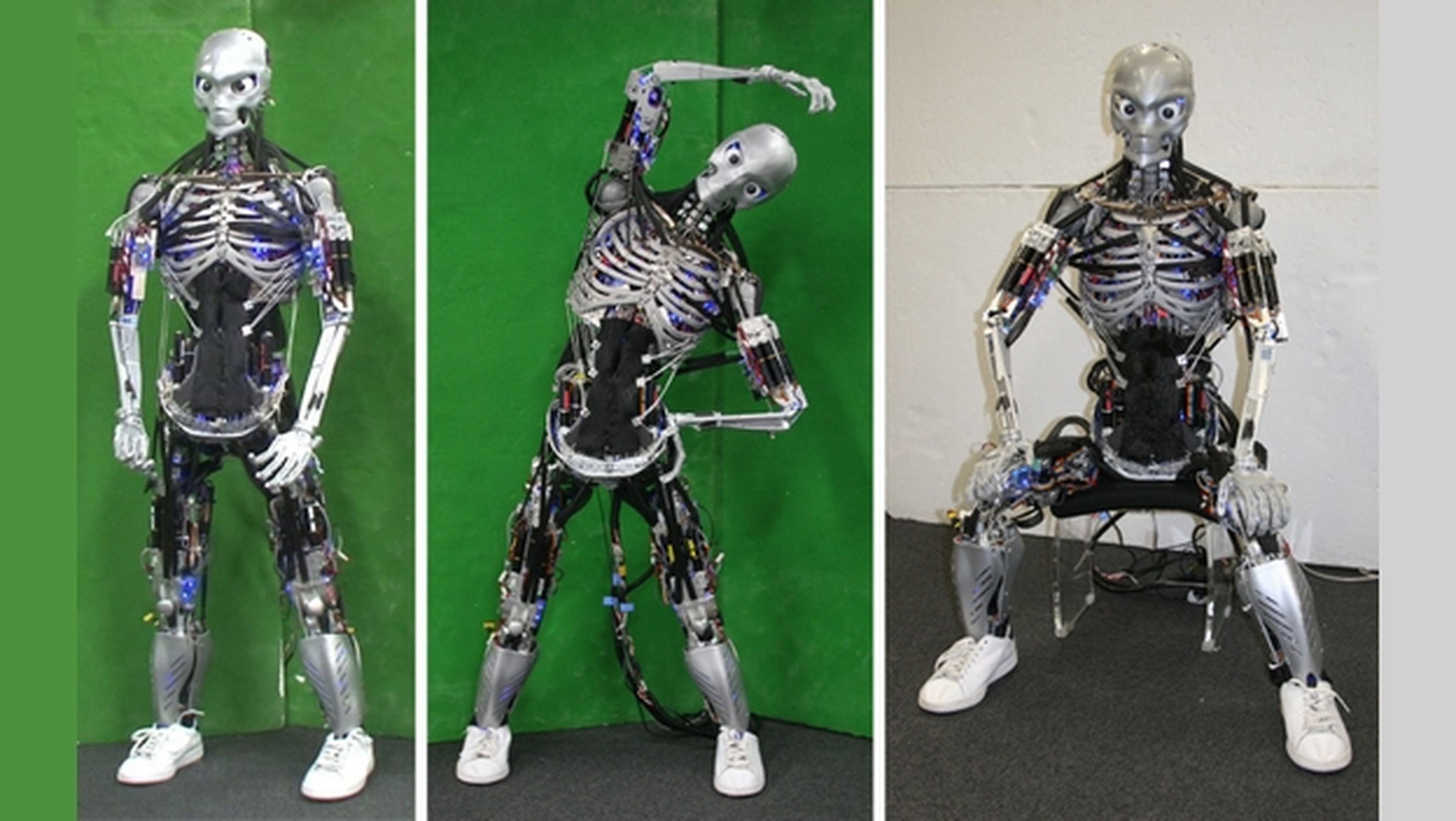 Kengoro y Kenshiro, los robots que sudan cuando hacen ejercicio