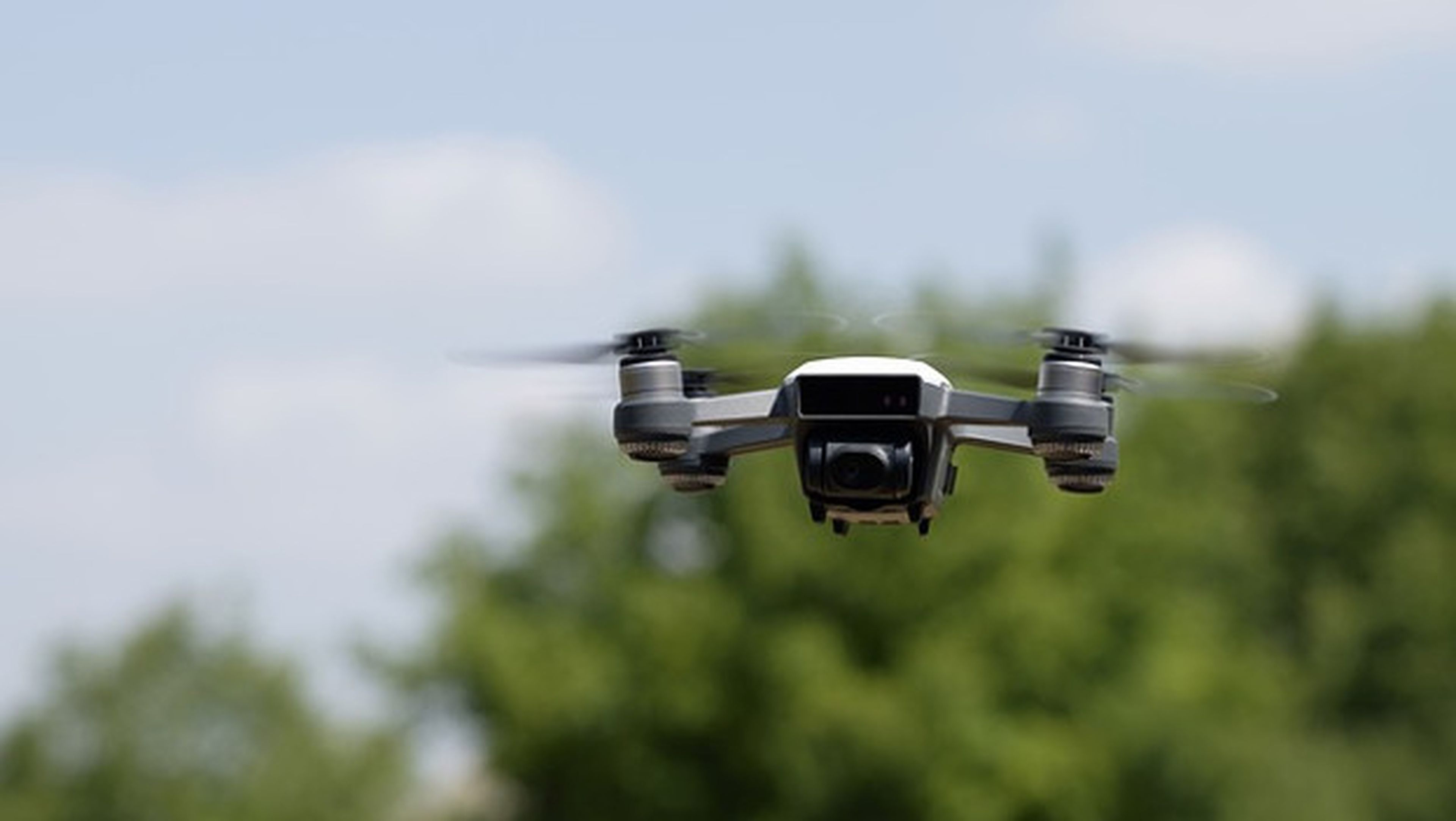 Los drones podrían salvar bosques mediante la reforestación.