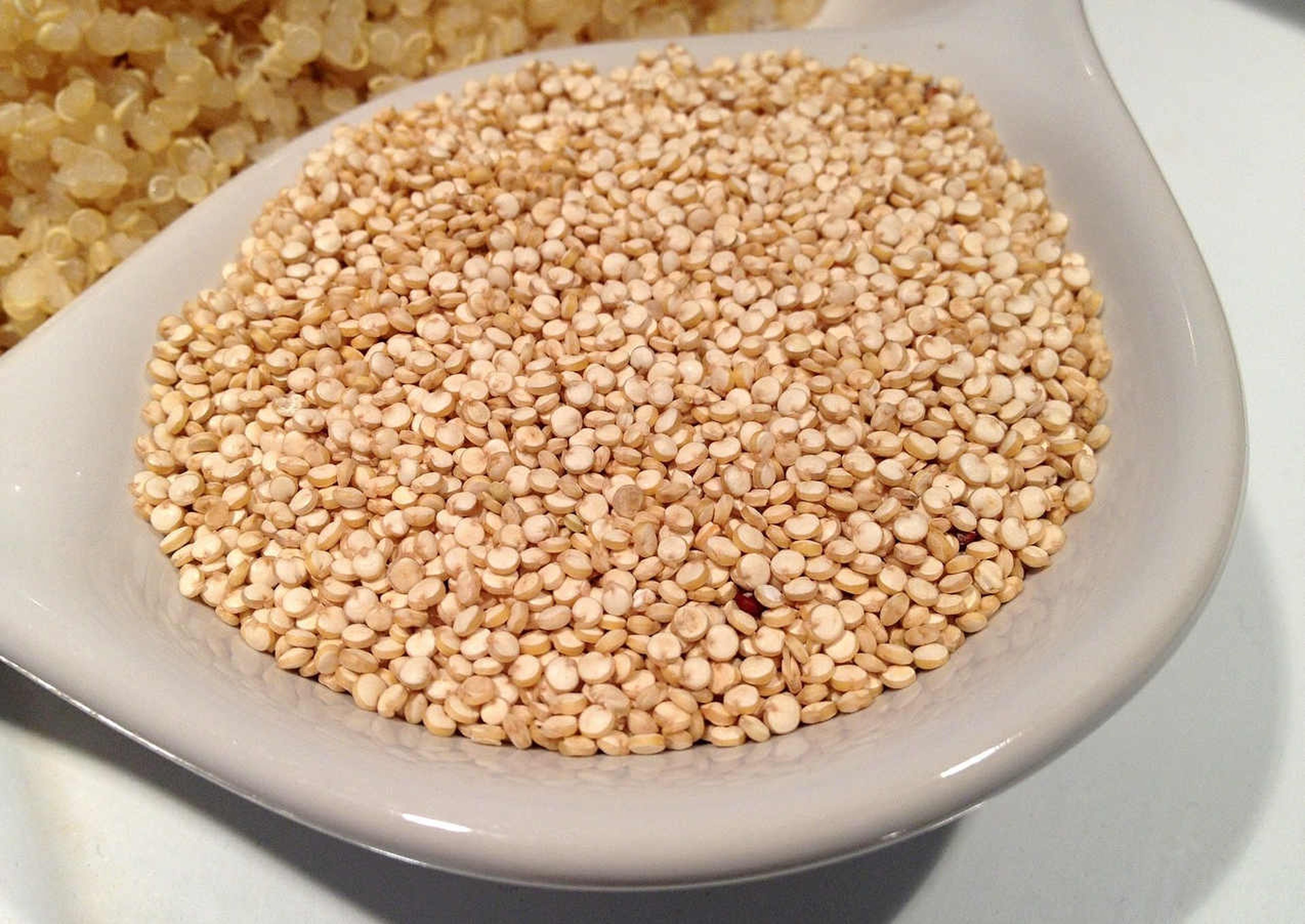 Granos de quinoa en un recipiente