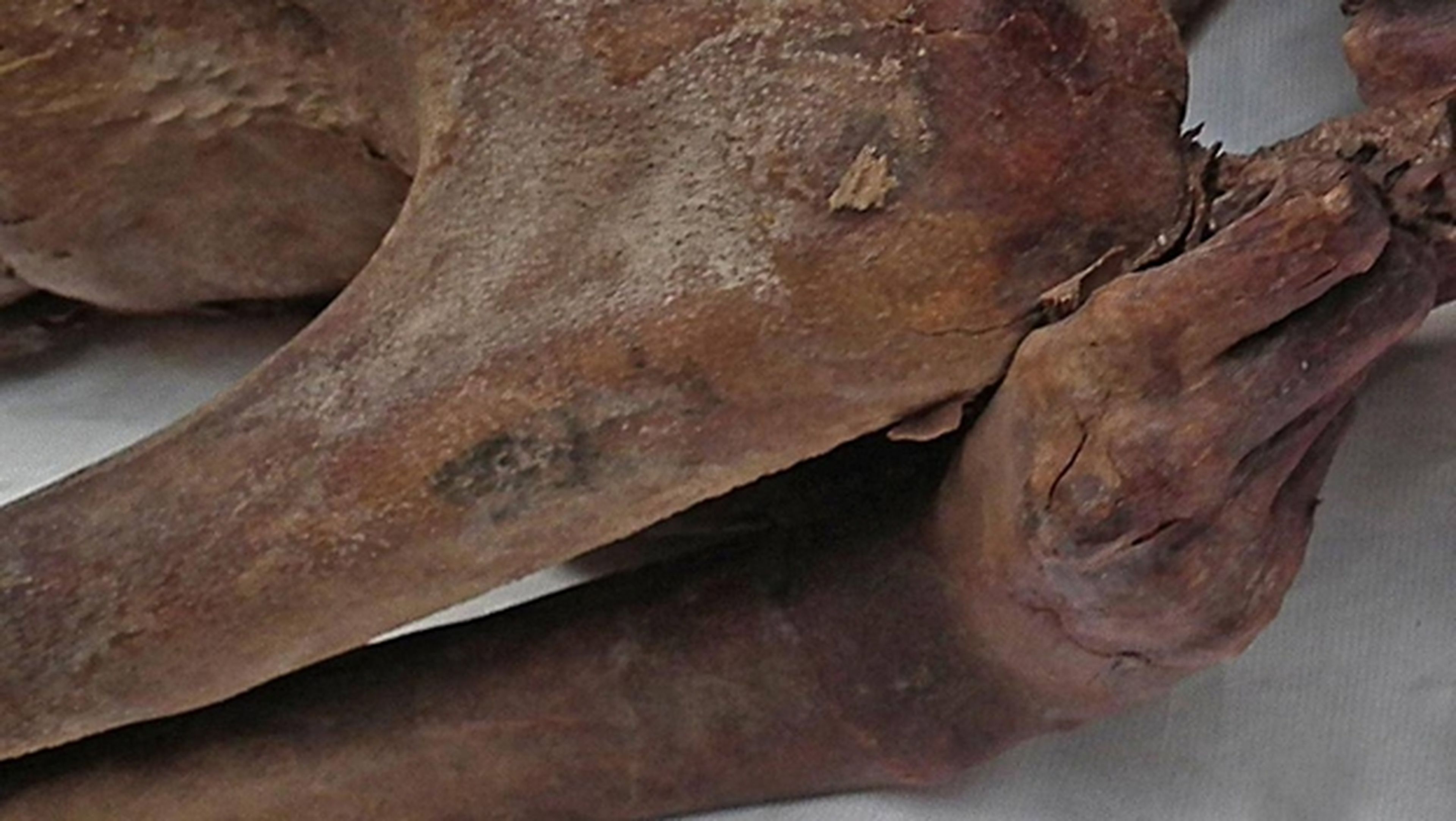 Los tatuajes más antiguos del mundo, un siglo ocultos en momias egipcias