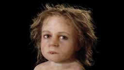 This is how a prehistoric child lived 700,000 years ago
