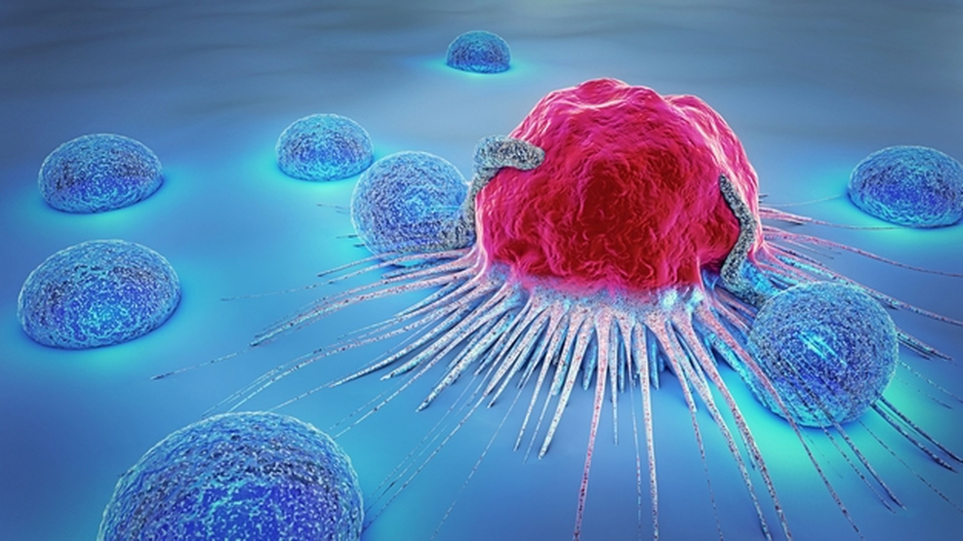 Un prometedor tratamiento que cura el cáncer comienza a probarse en personas