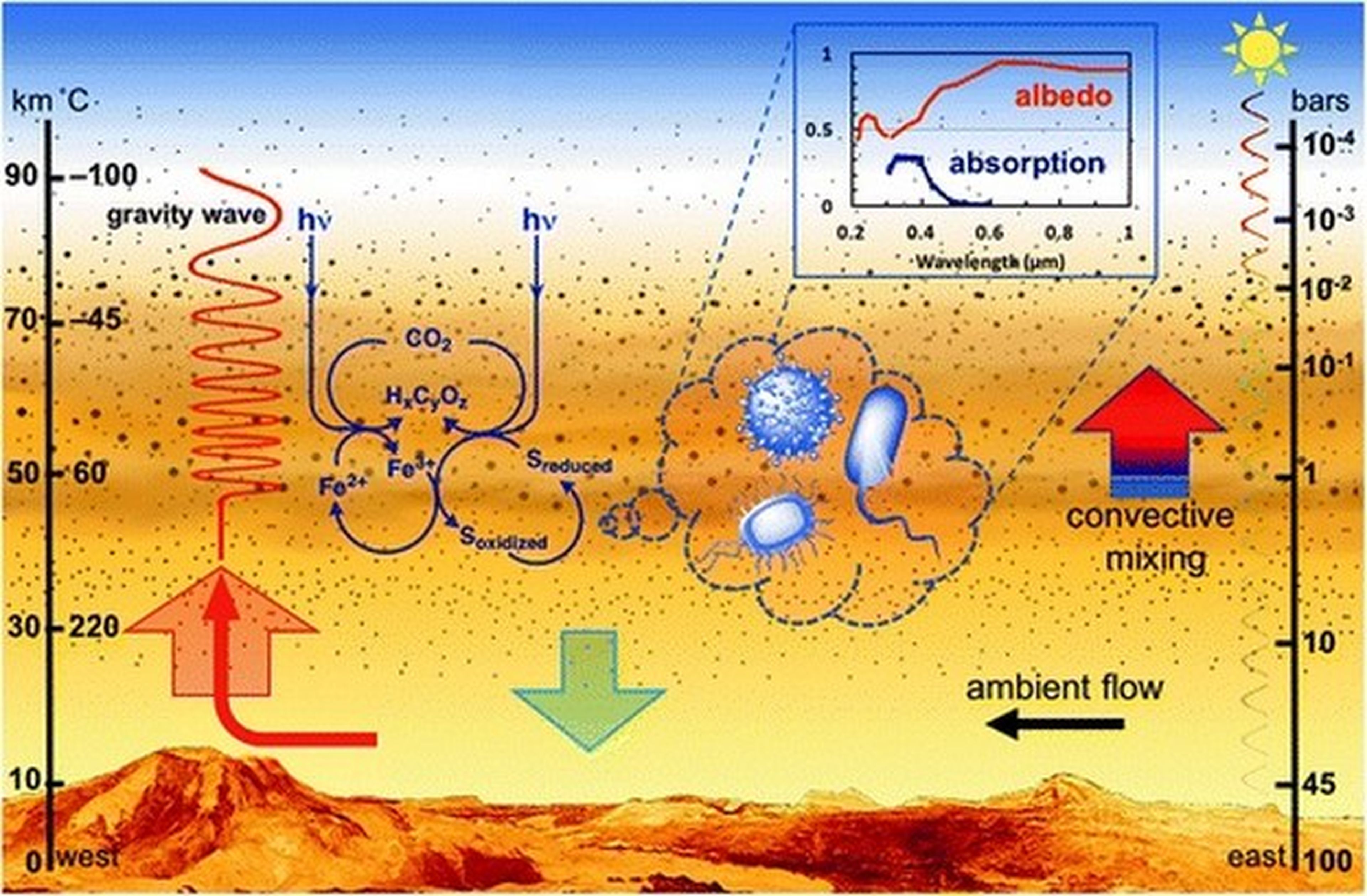 ¿Hay bacterias extraterrestres en las nubes de Venus?